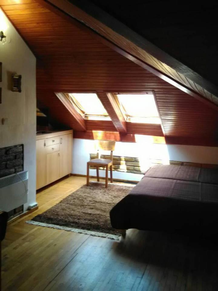 Miha Apartman view 5