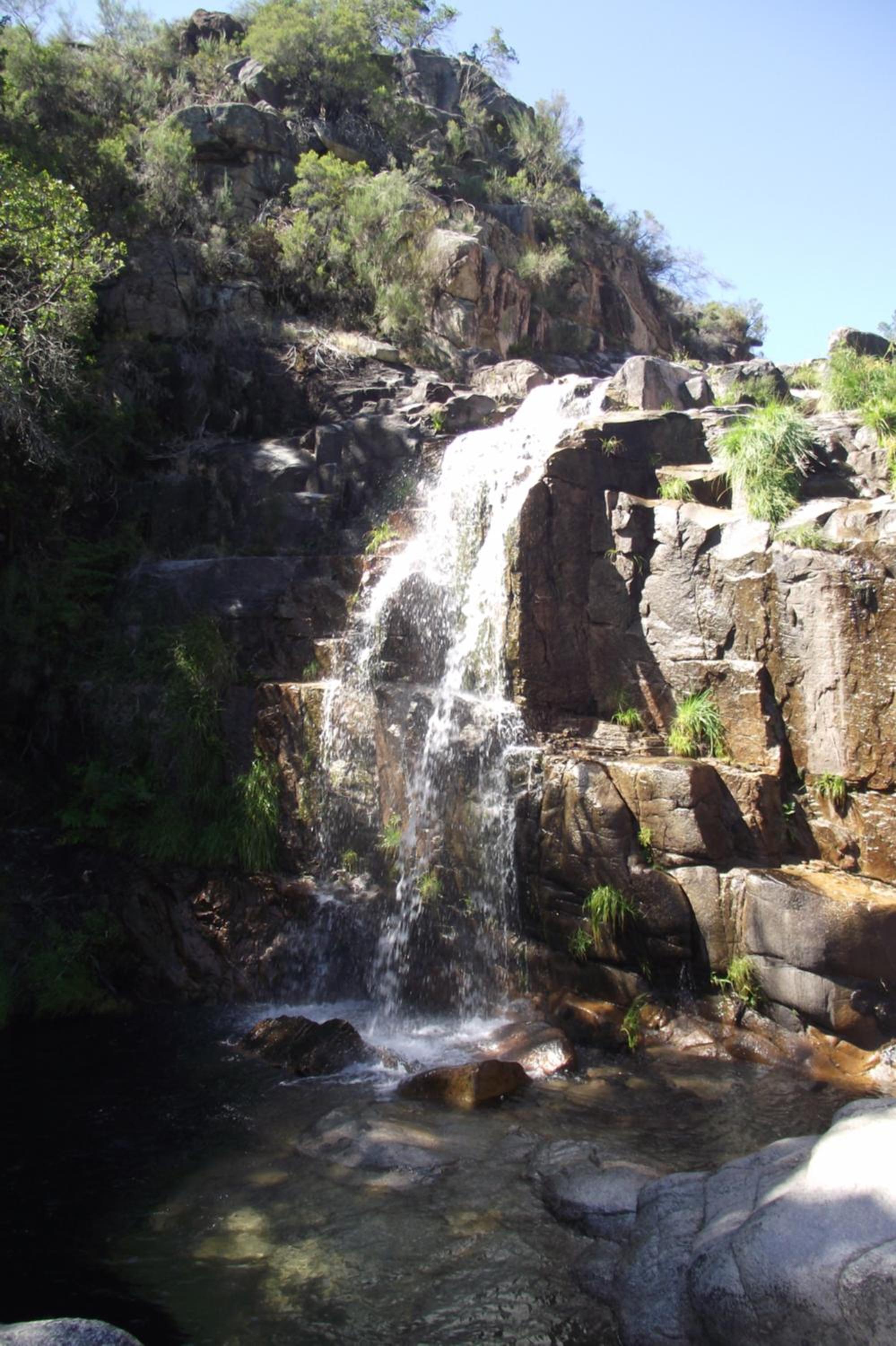 other