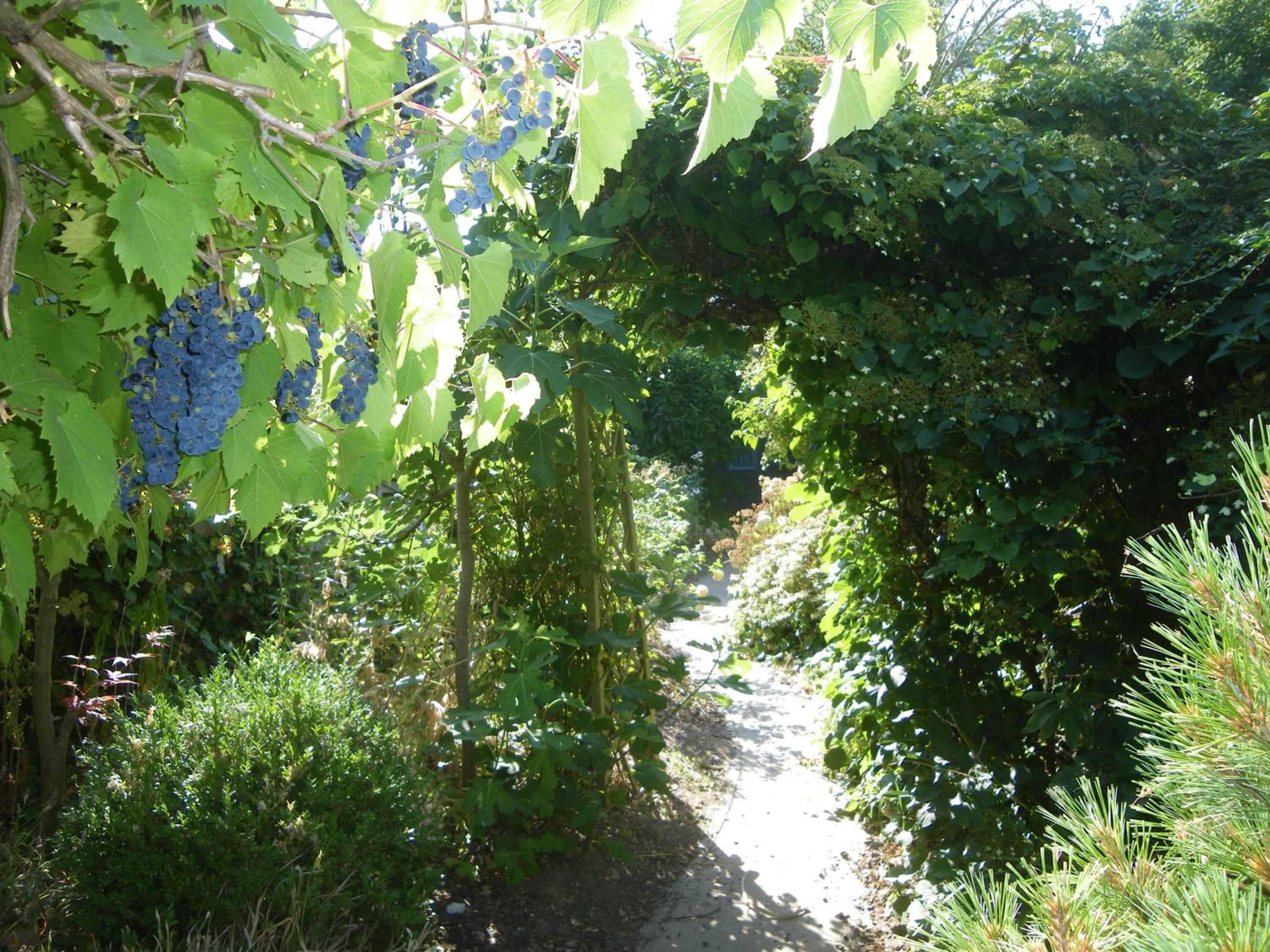 Au gîte de Binche