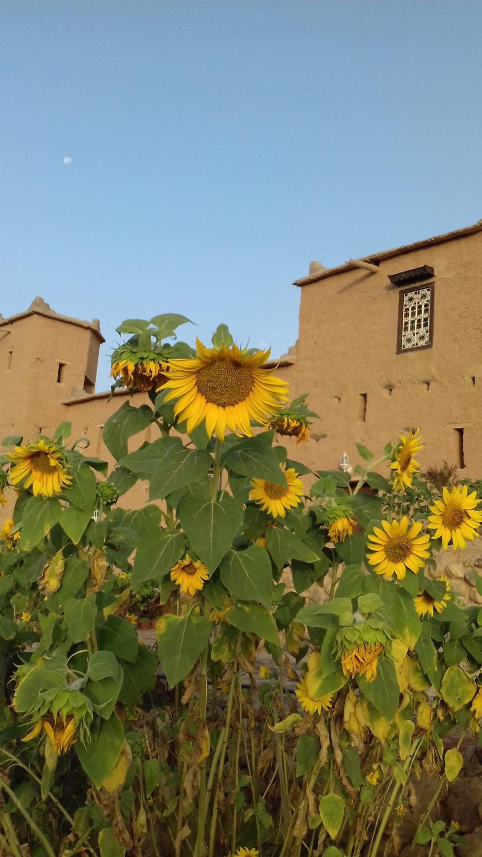 Kasbah Izoran view 5