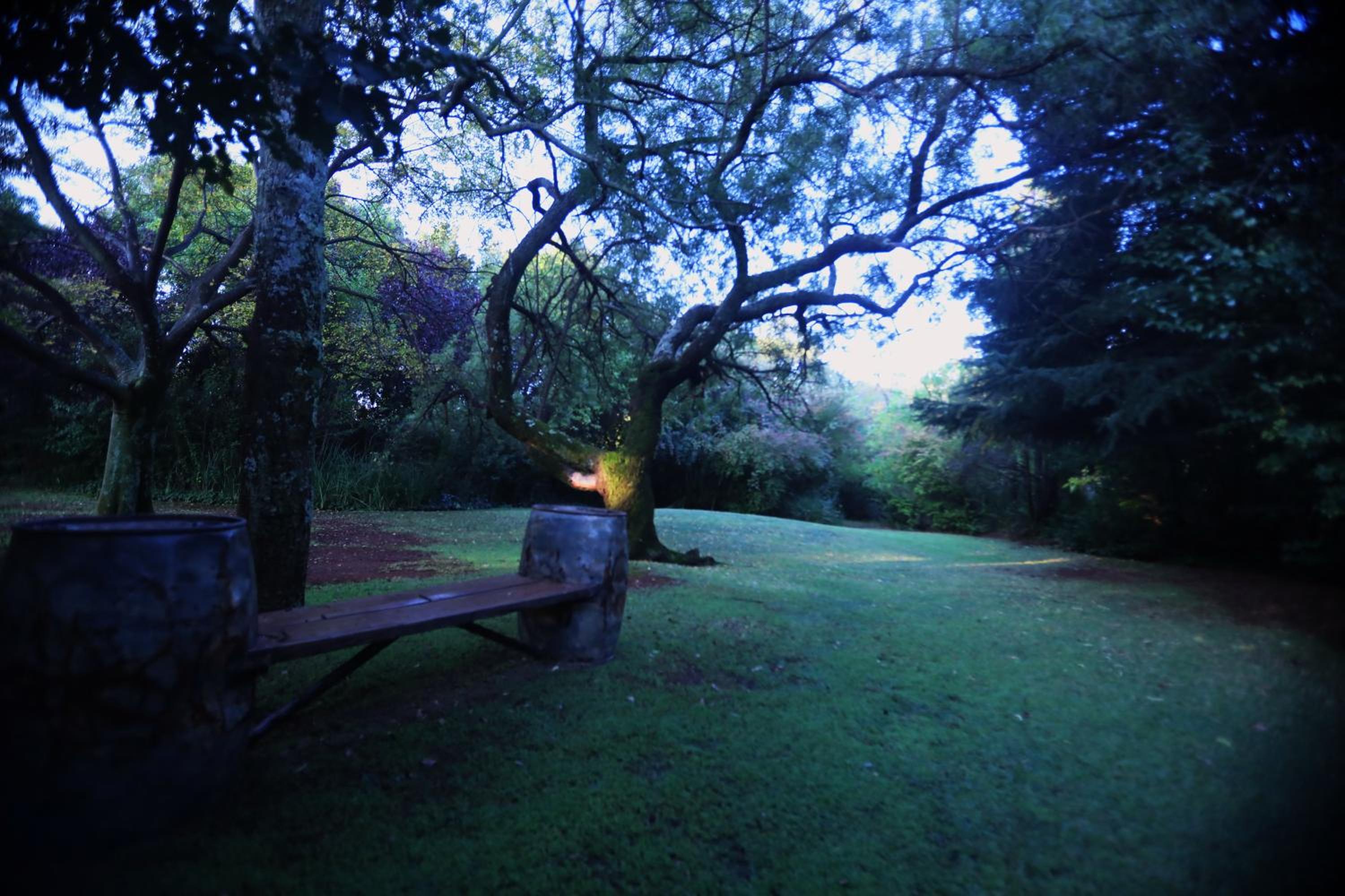 Andante Lodge