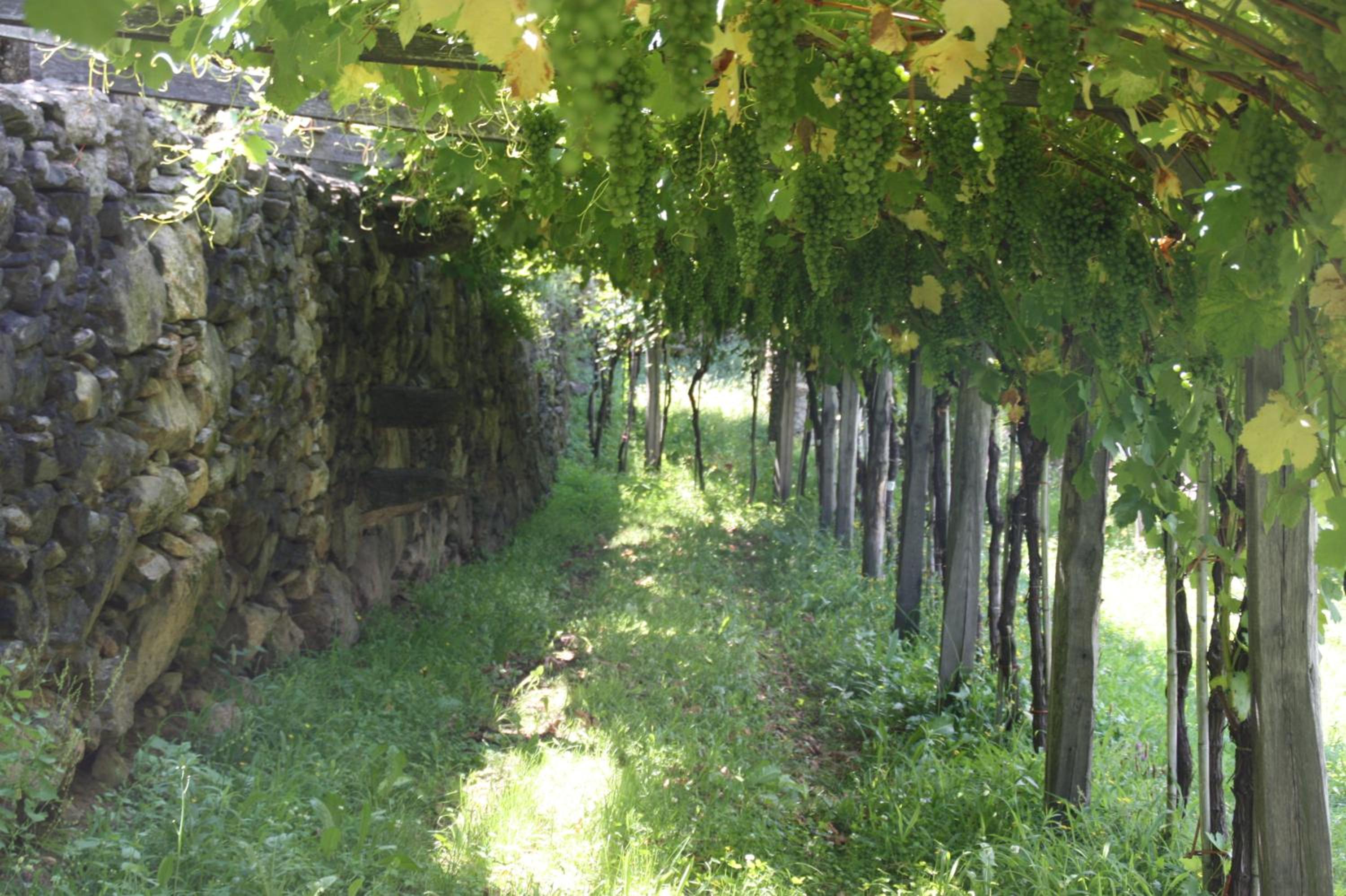 Relais del Brigante view 5