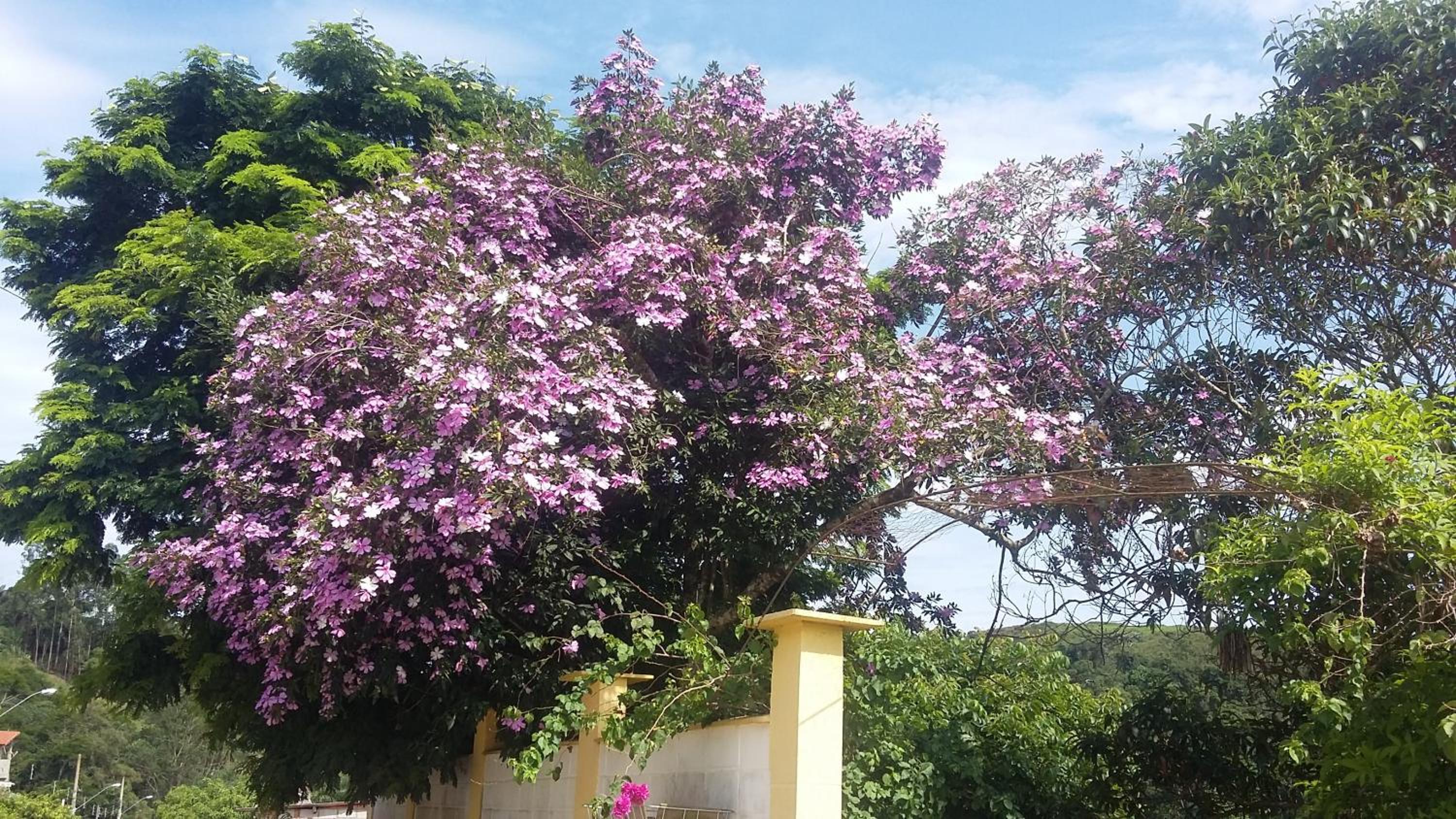 Chacara Sobrado Igarata