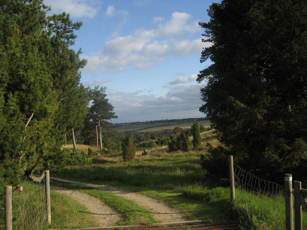 Photo 26