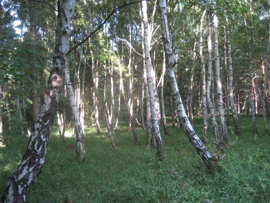 Photo 33