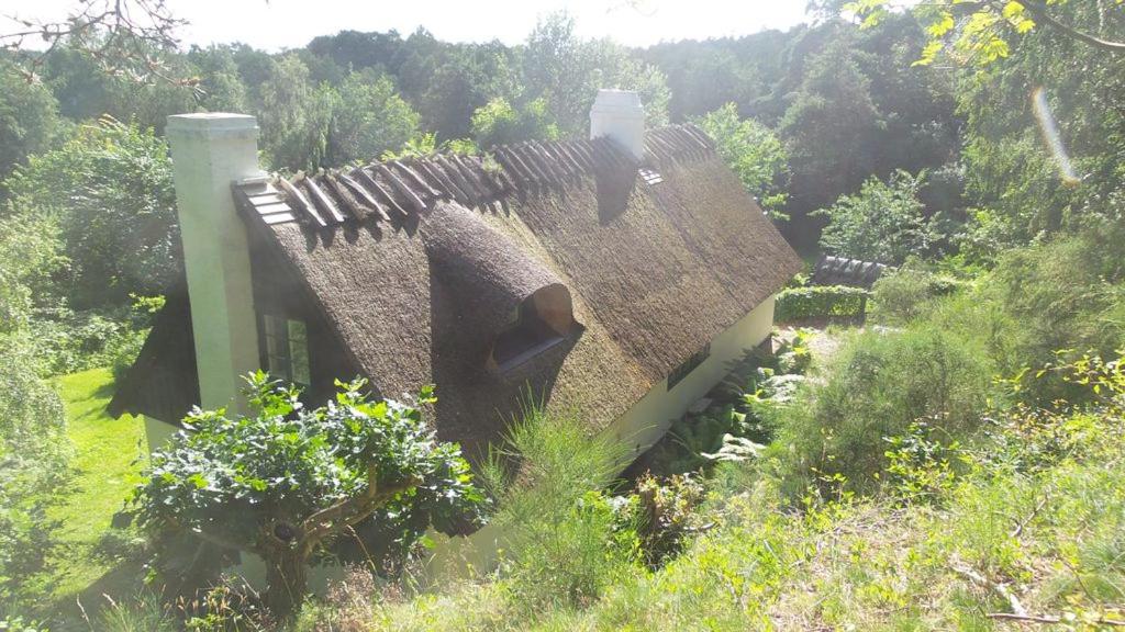 BILLE's HUS view 3