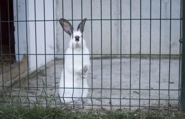 Photo 53