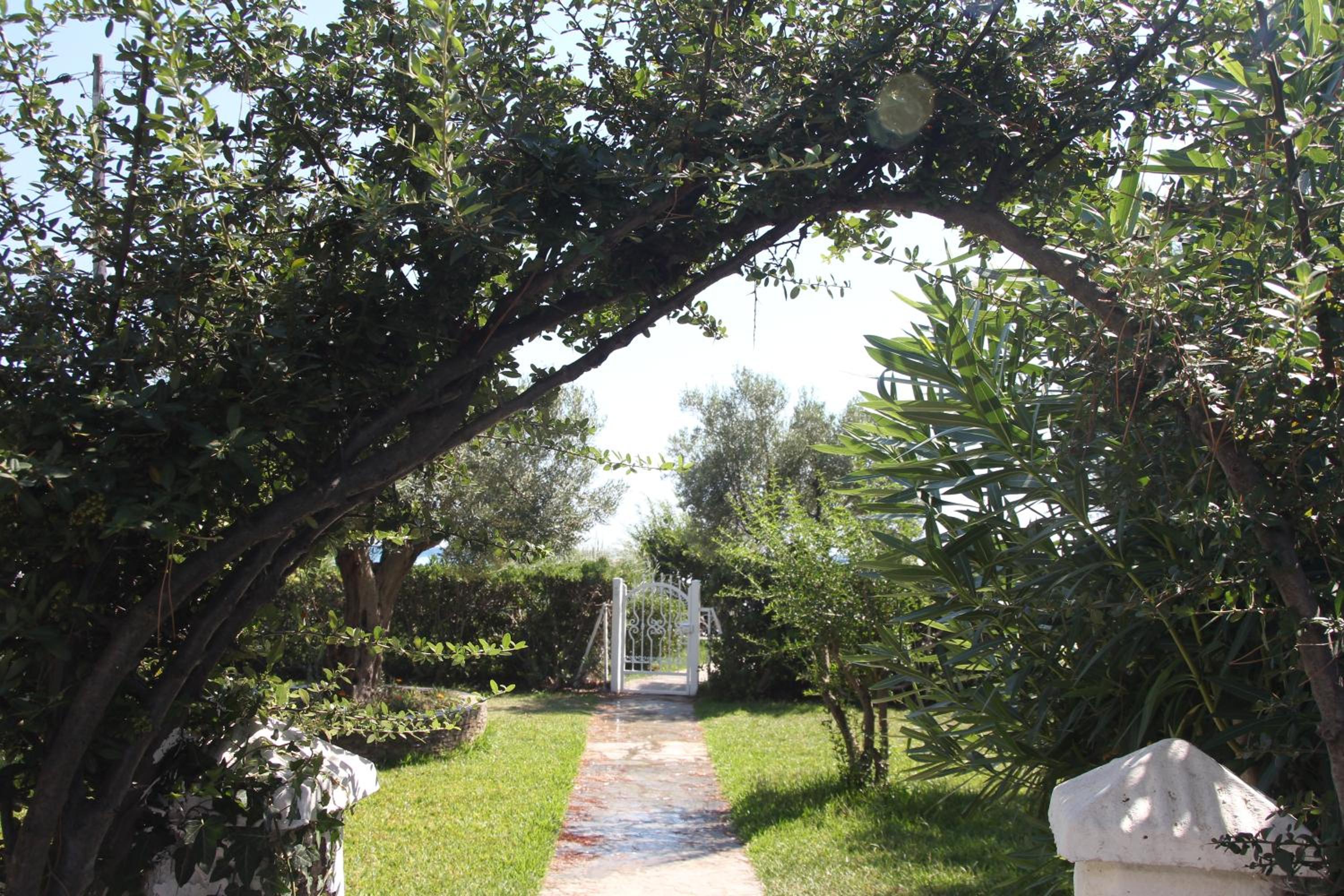 Photo 16