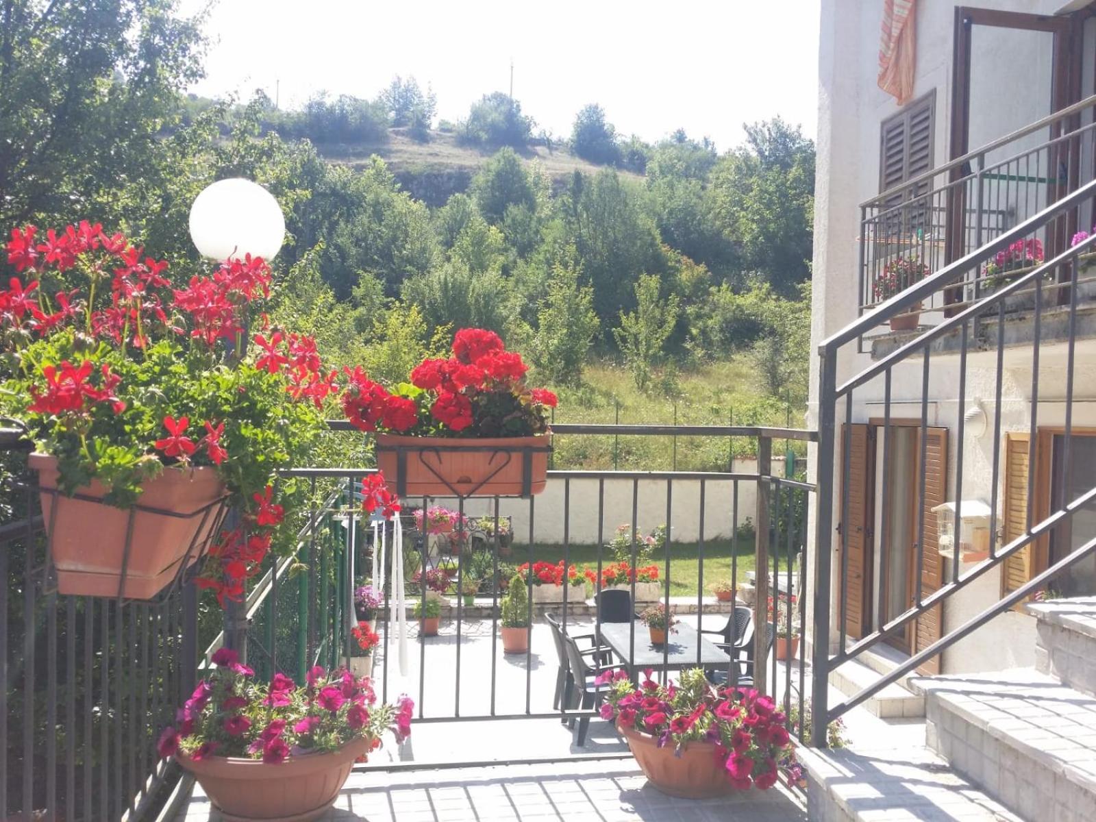 Il Bucaneve view 5