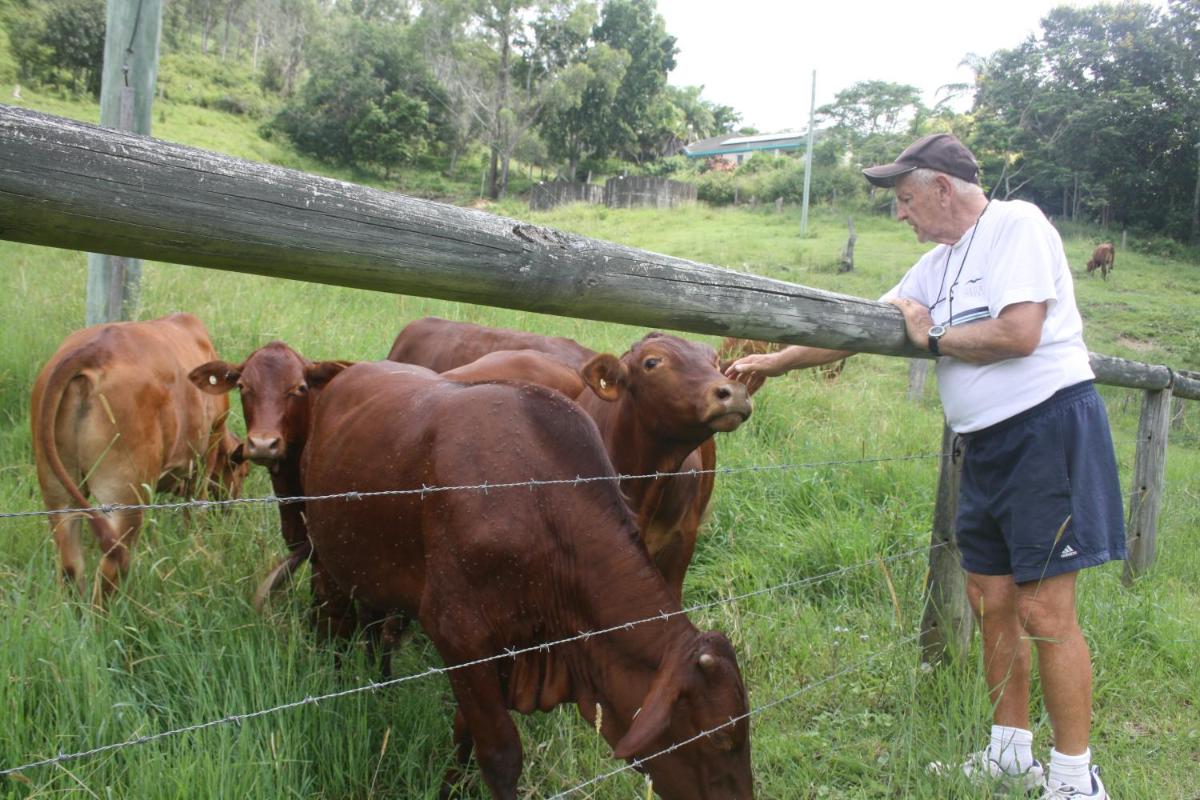 Noosa Hinterland Spectacular Boutique Guesthouse