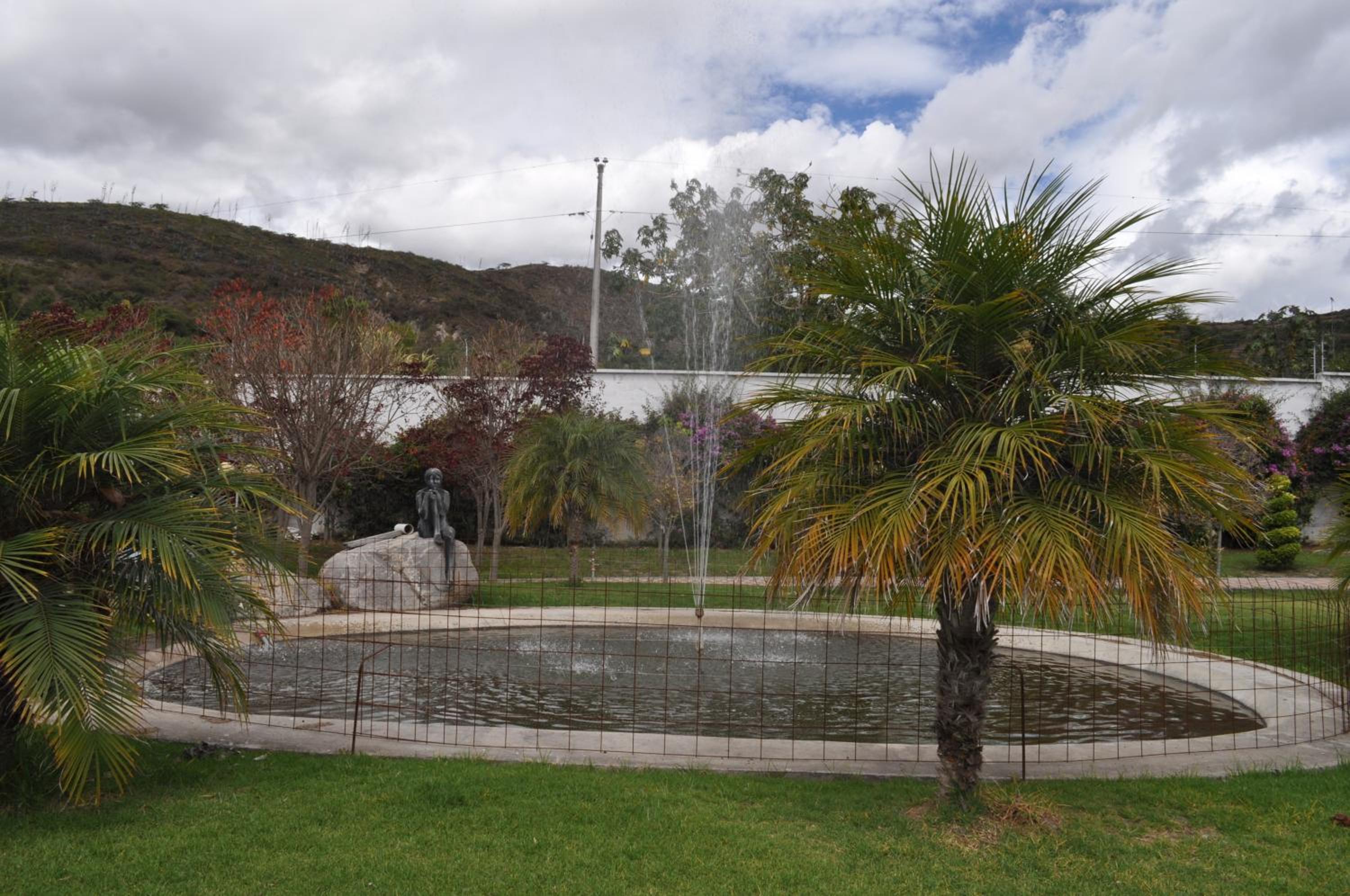 Photo 42