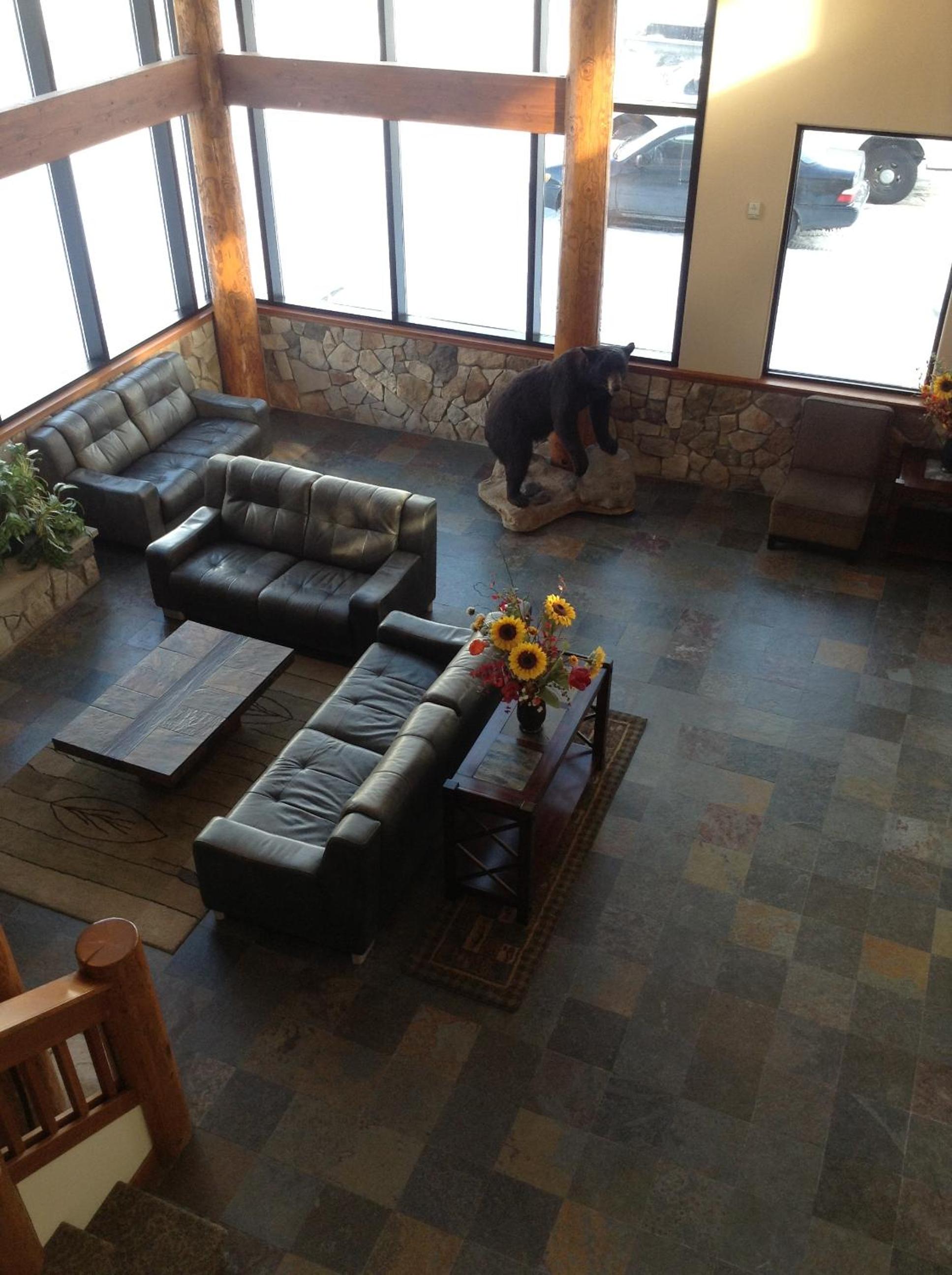 Photo 7