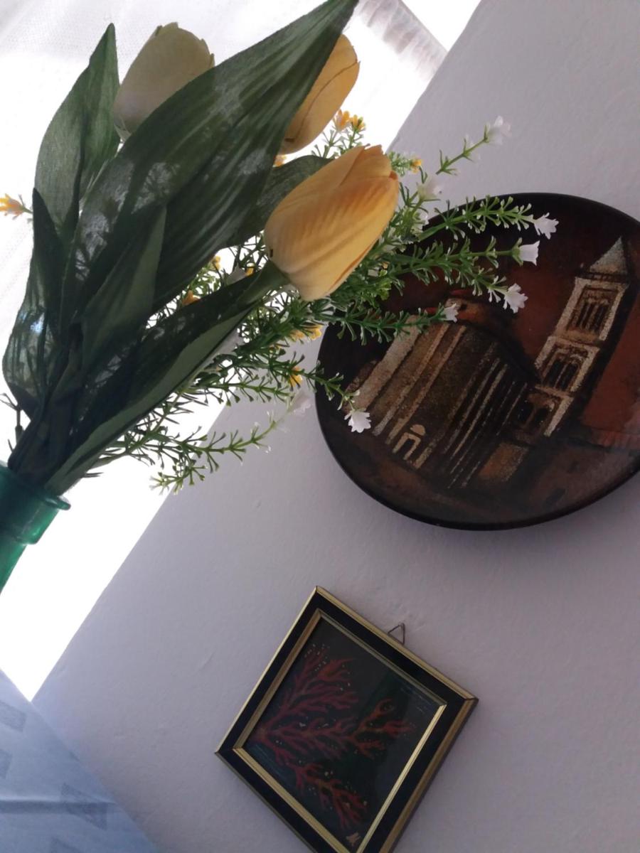 Apartman Nona view 5