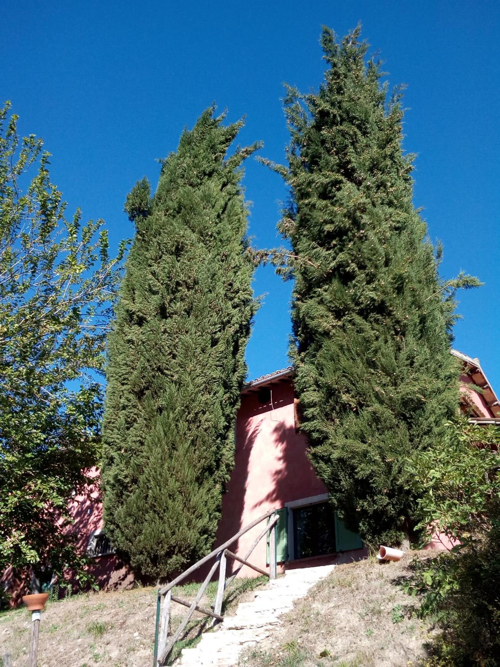 Photo 41