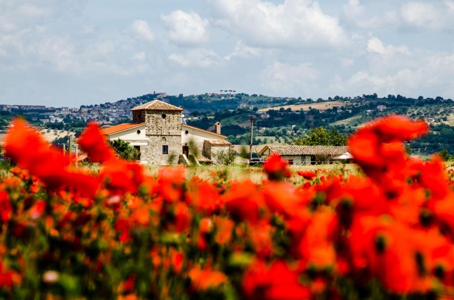 Country Relais La Torretta Baronale view 5