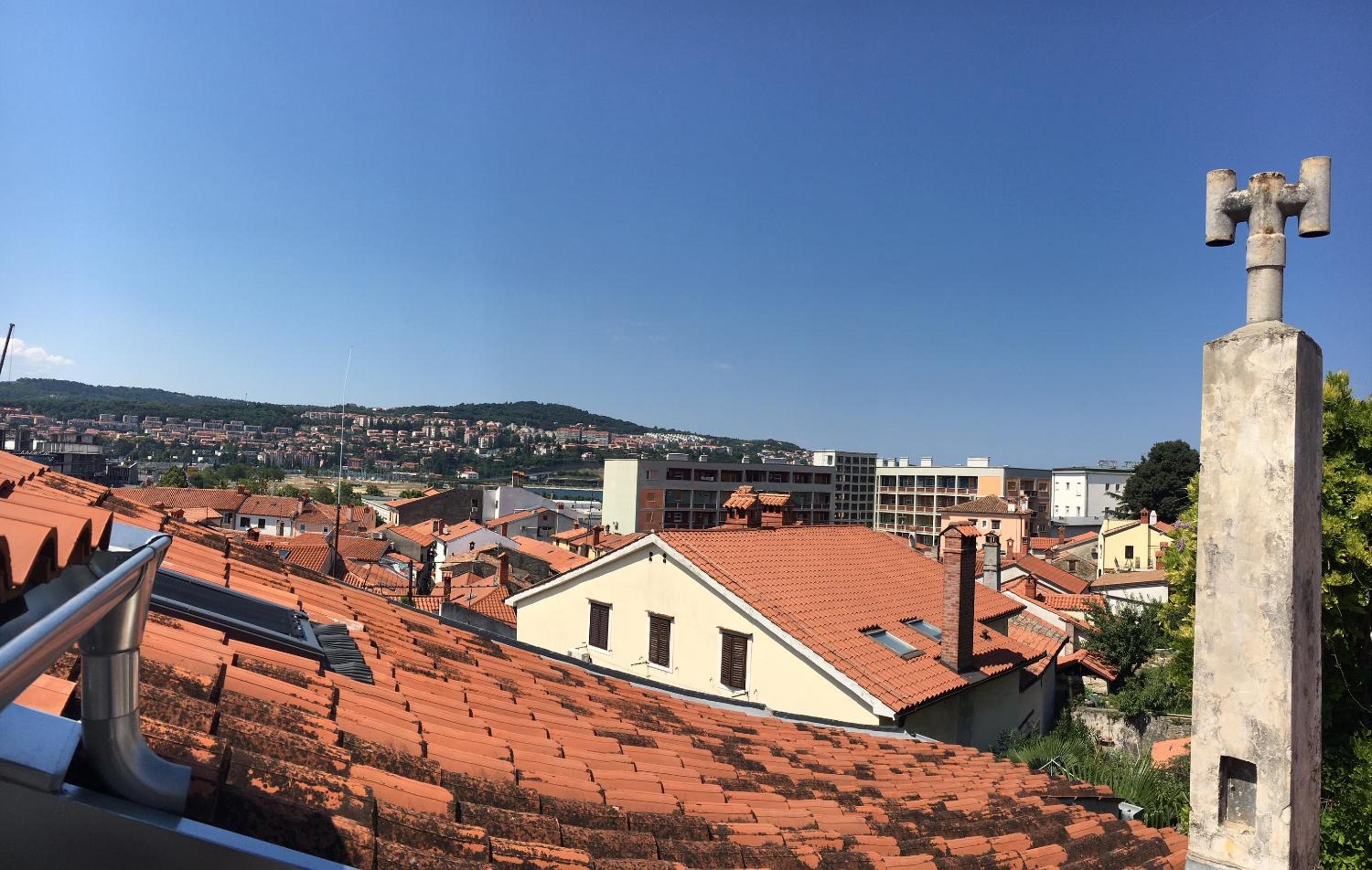 roof