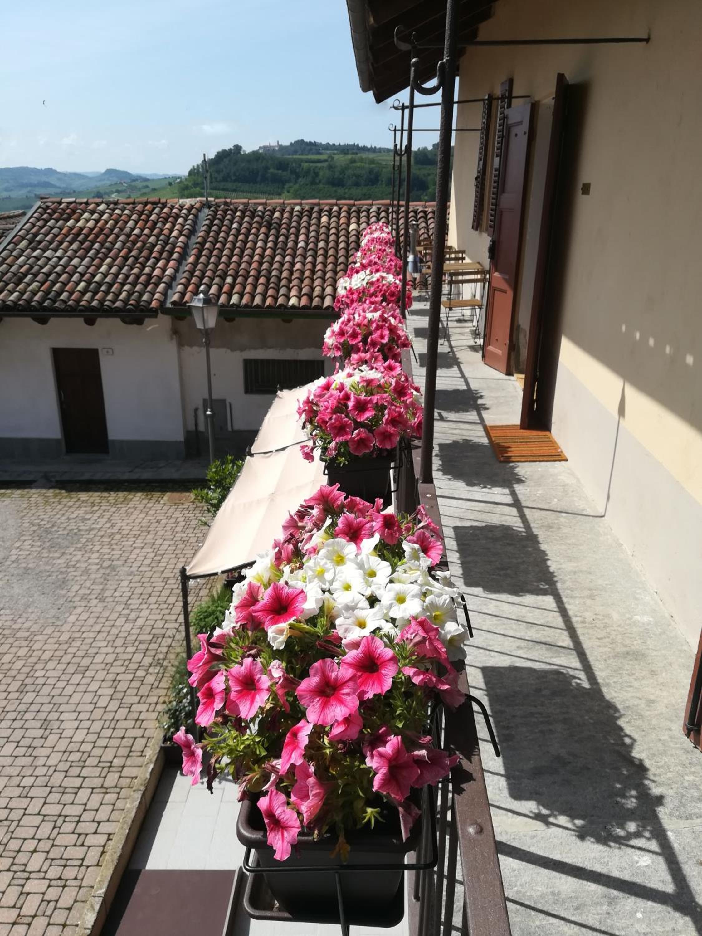 Raviola e Tajarin view 3