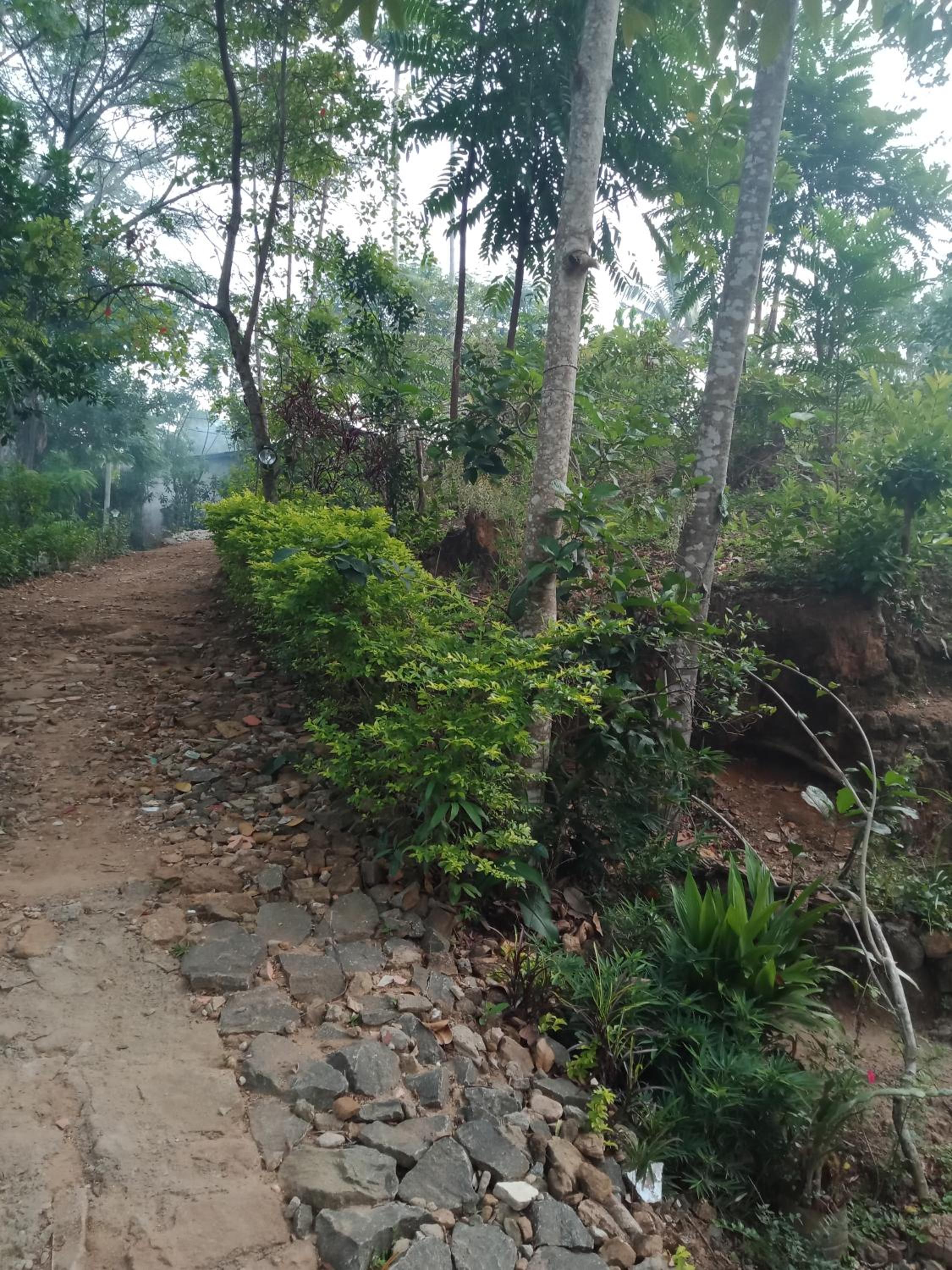 Photo 25