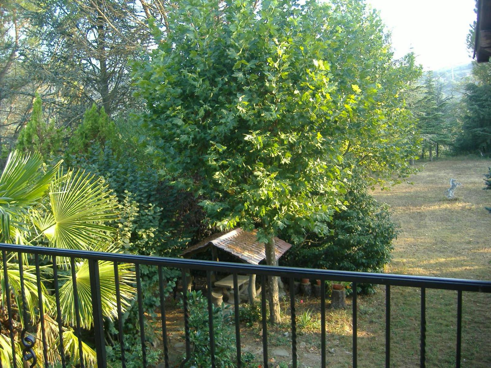 Photo 48