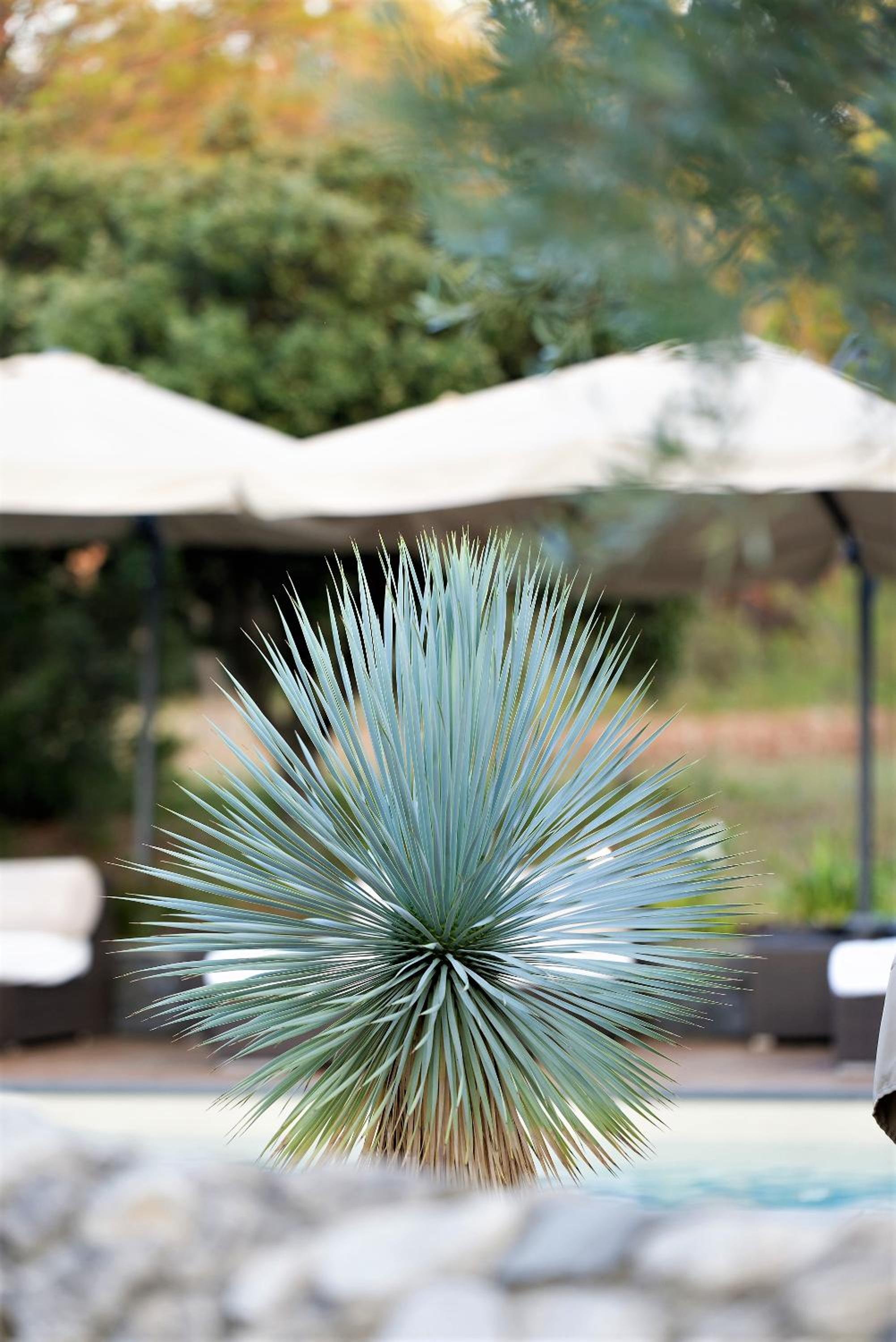 outdoor BBQ area