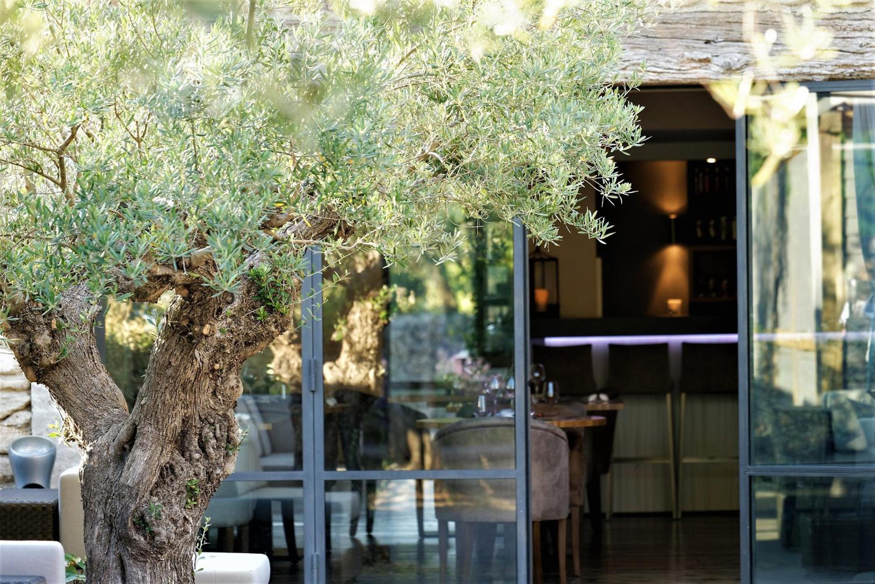 outdoor BBQ area