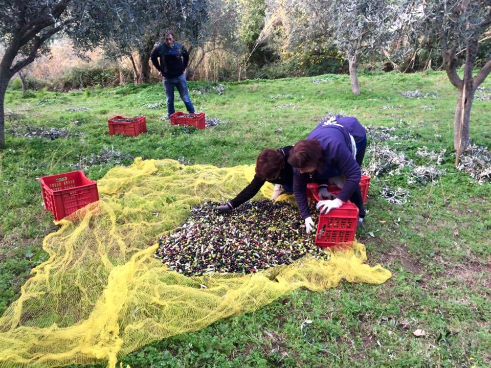 Agriturismo Don Cesarino