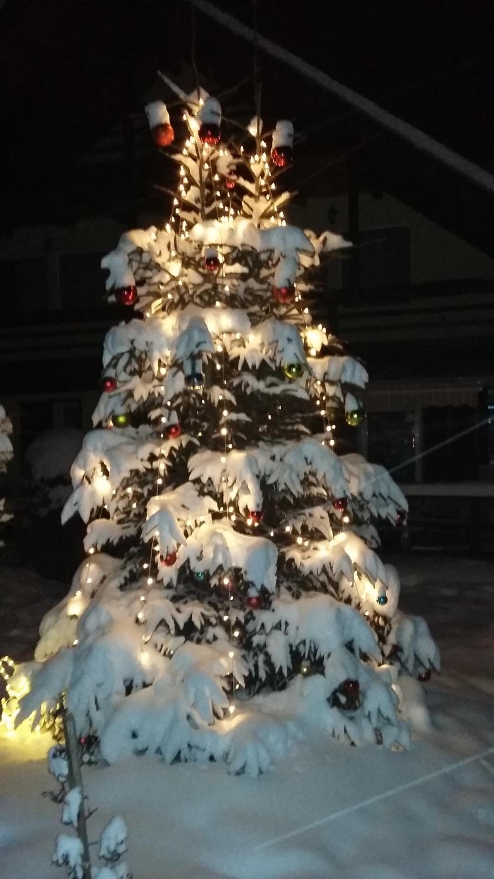 Photo 49