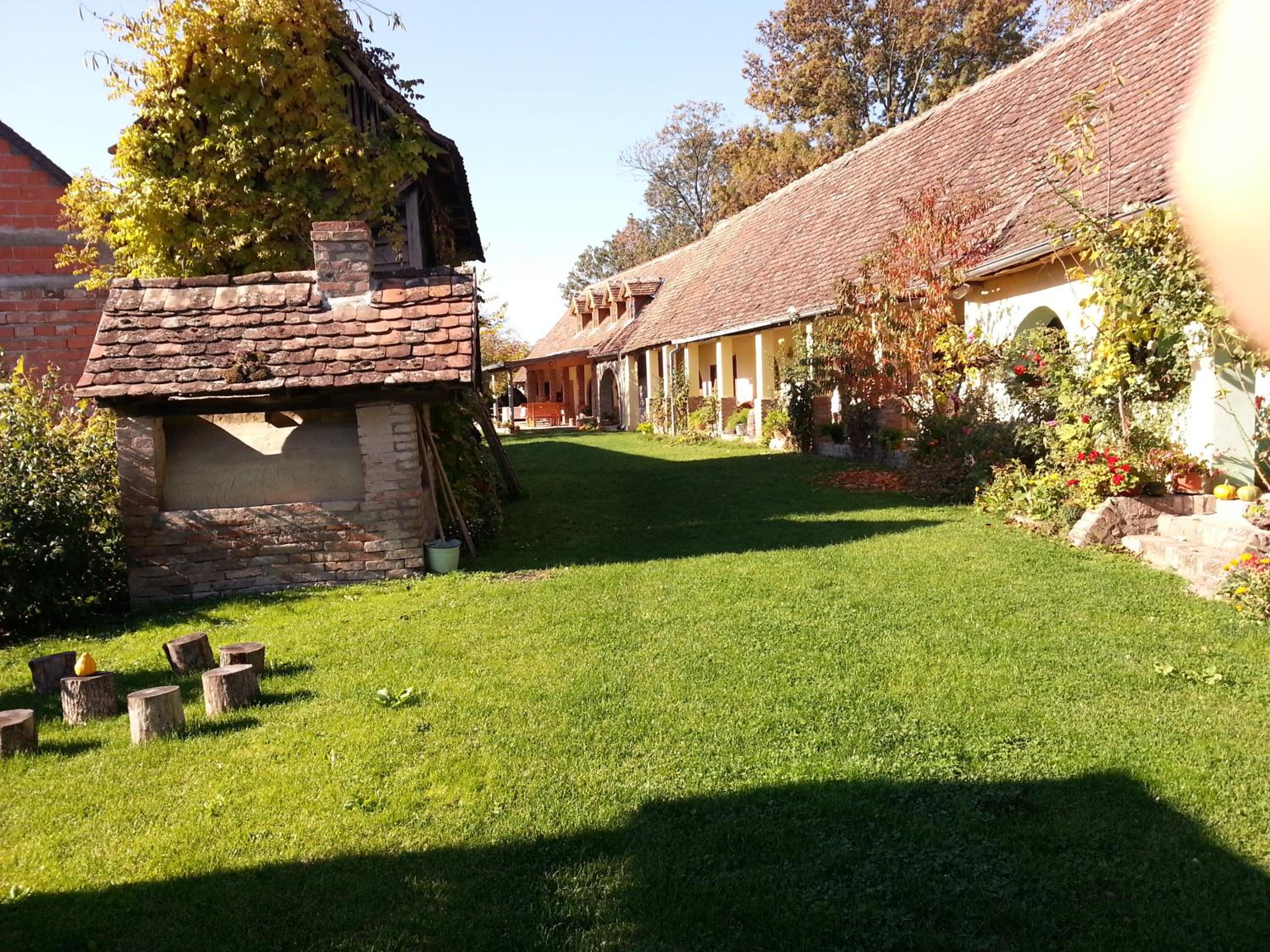 Photo 10
