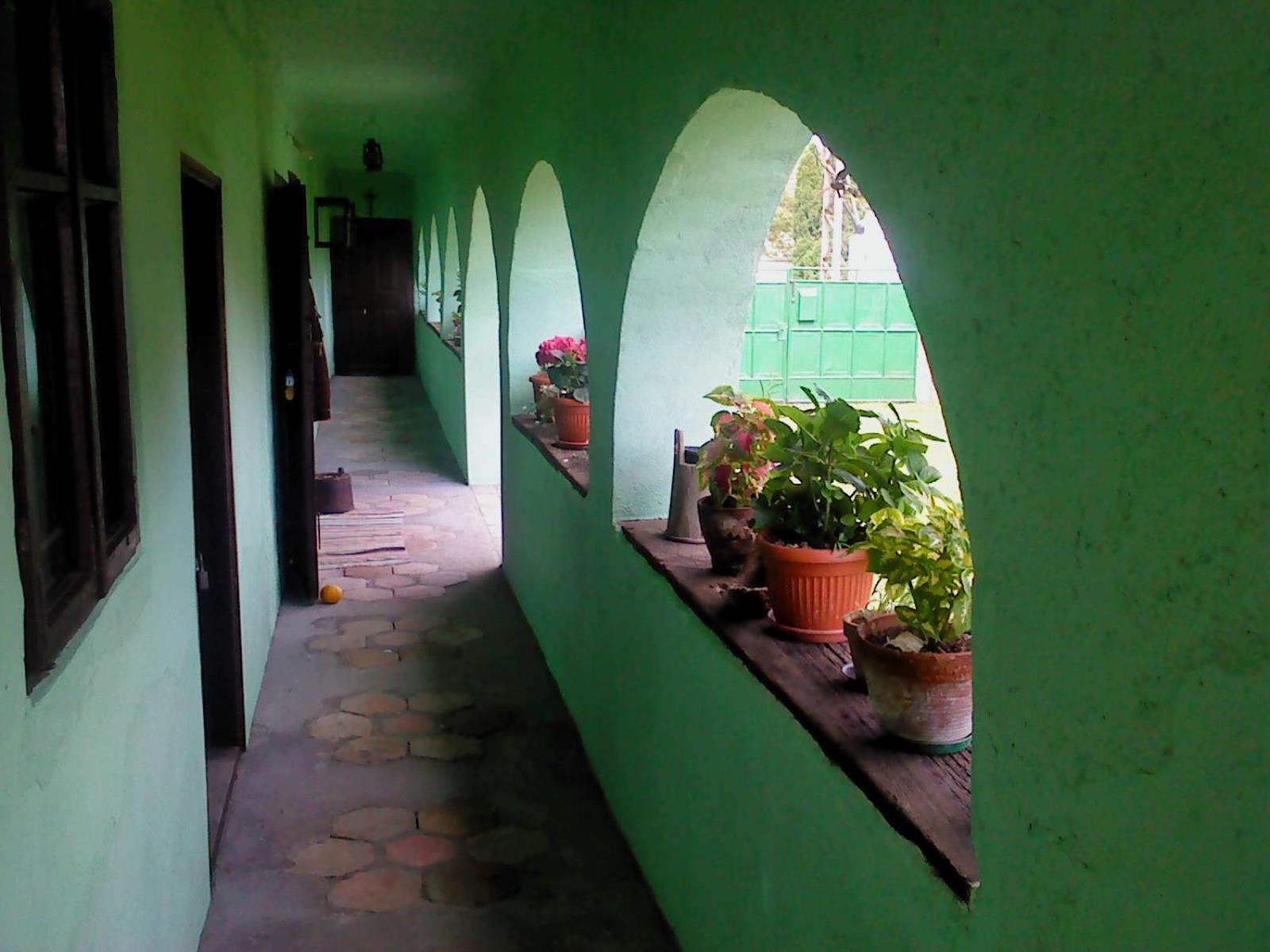 Photo 7