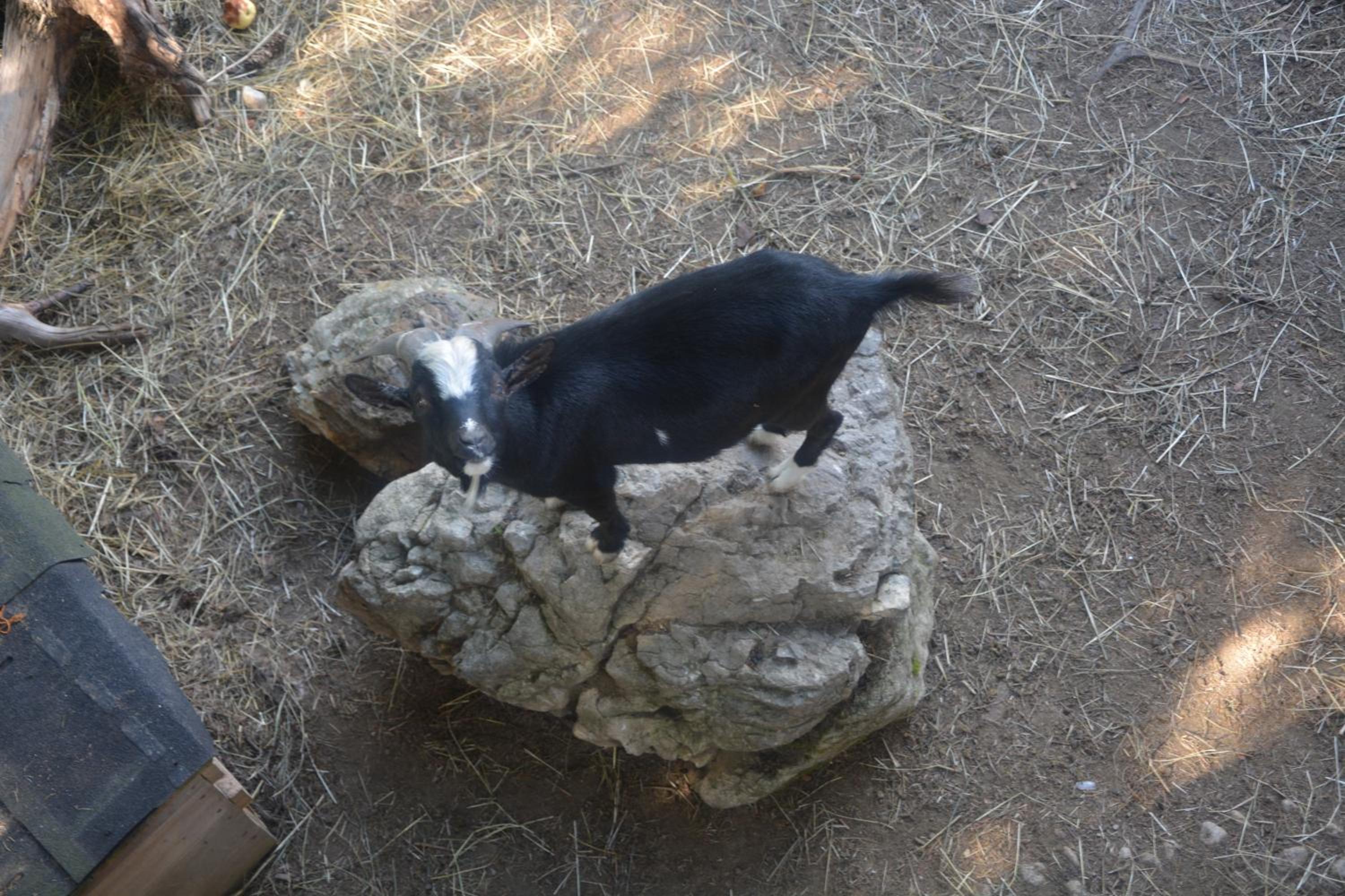 Photo 45