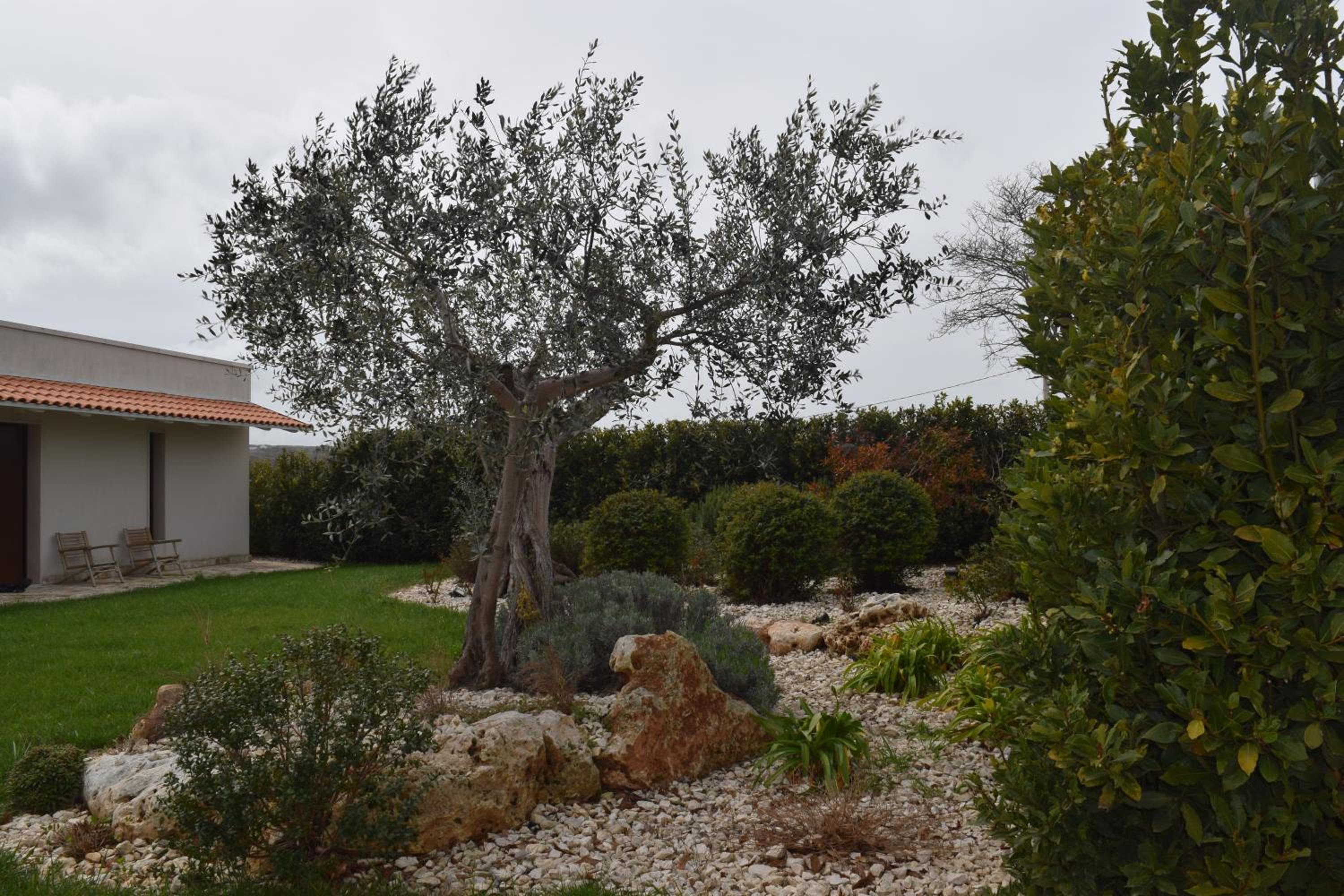 Masseria Corte Masseriola