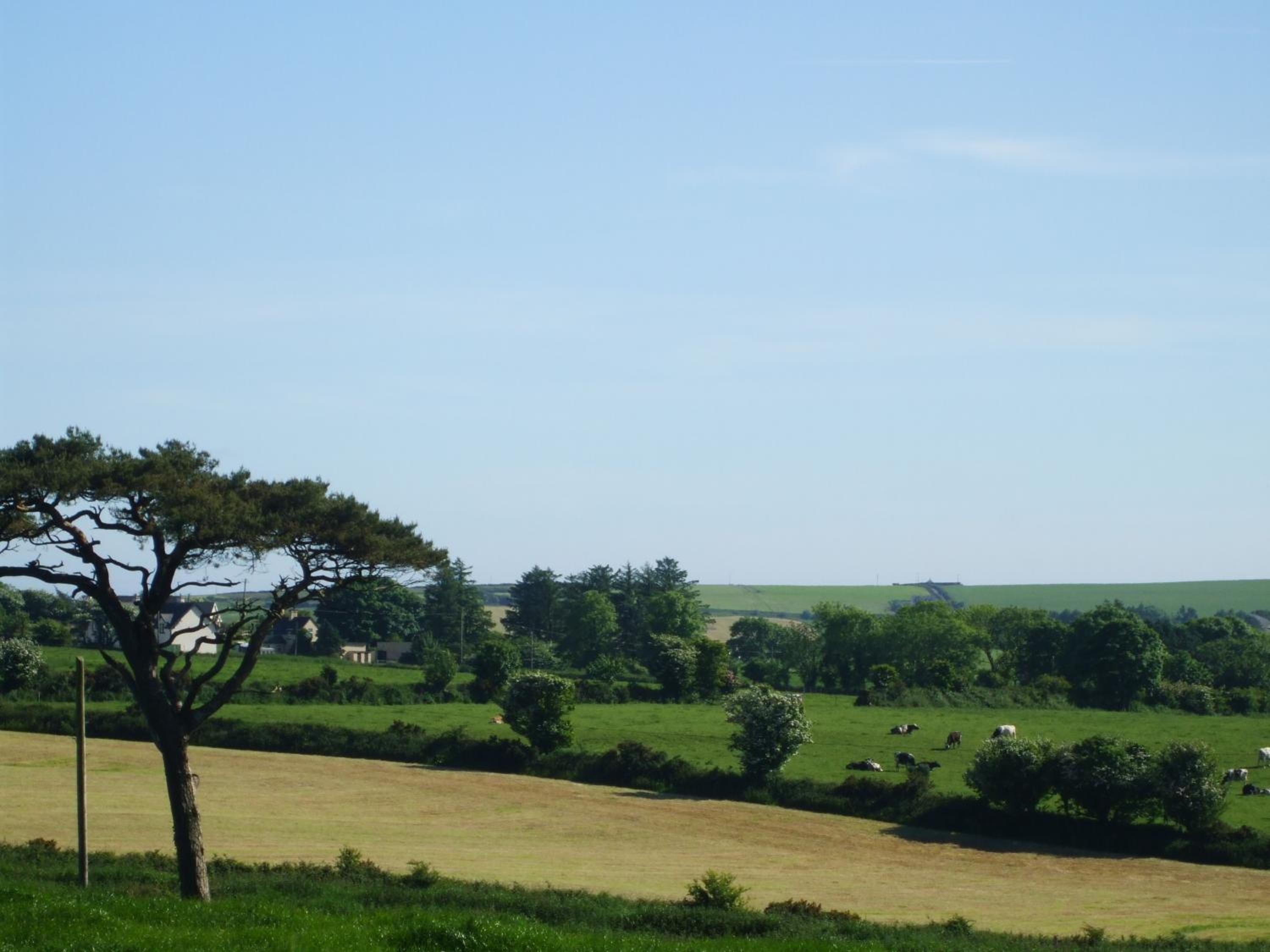The Brown Hen Guest Accommodation view 5