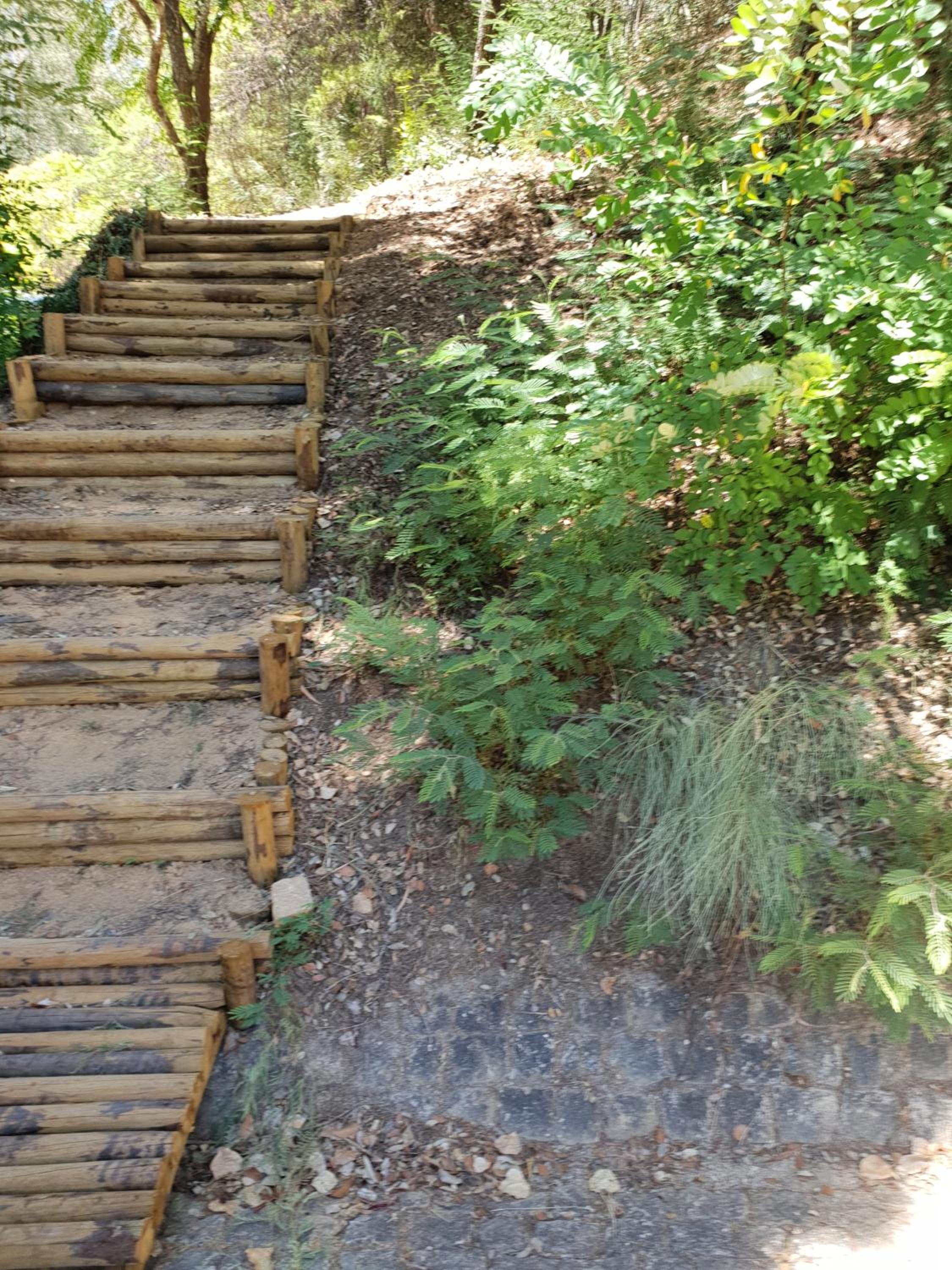 Photo 31