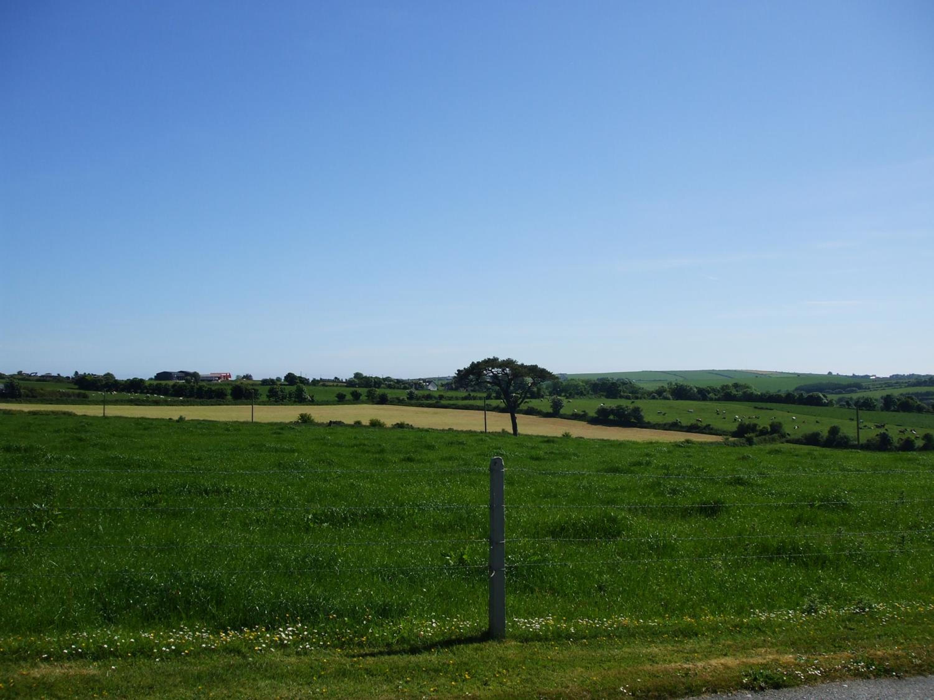 The Brown Hen Guest Accommodation view 3