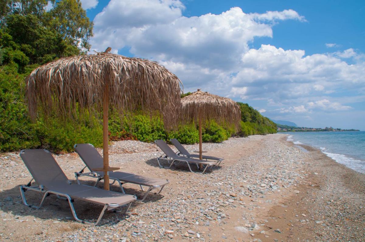 Just Barrett photo 4