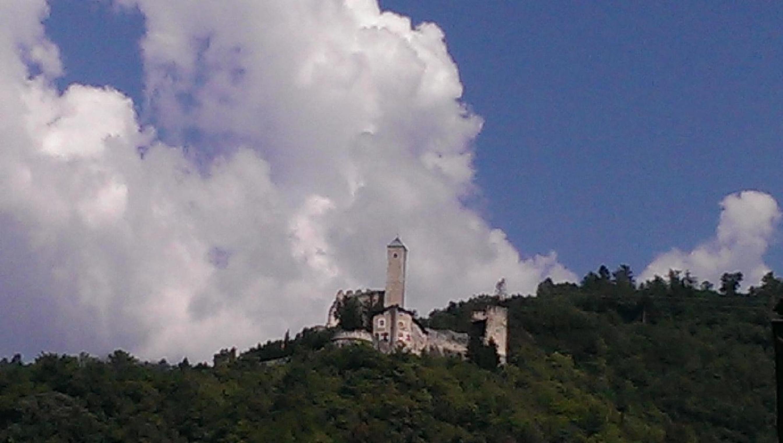 Photo 19