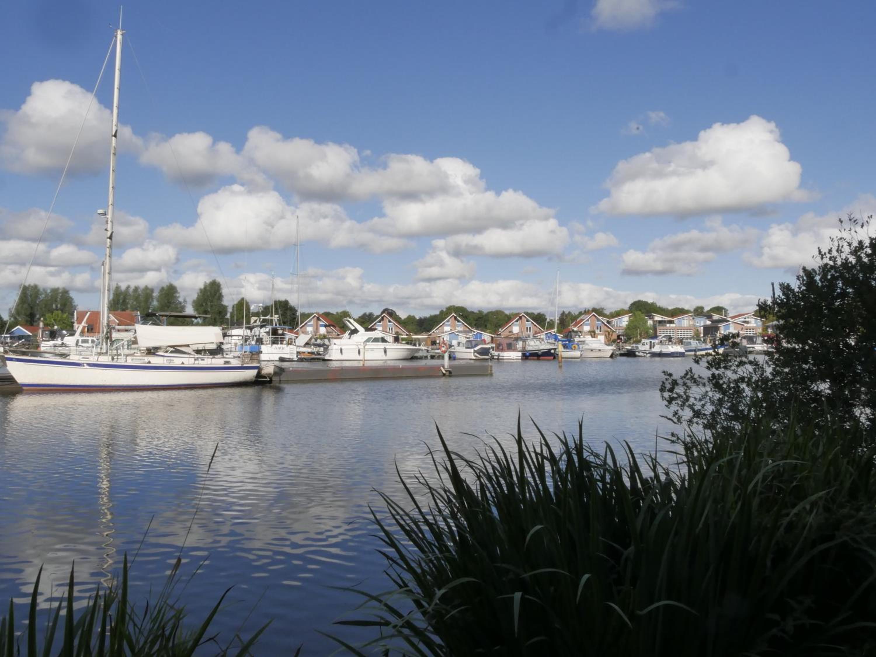 Photo 44