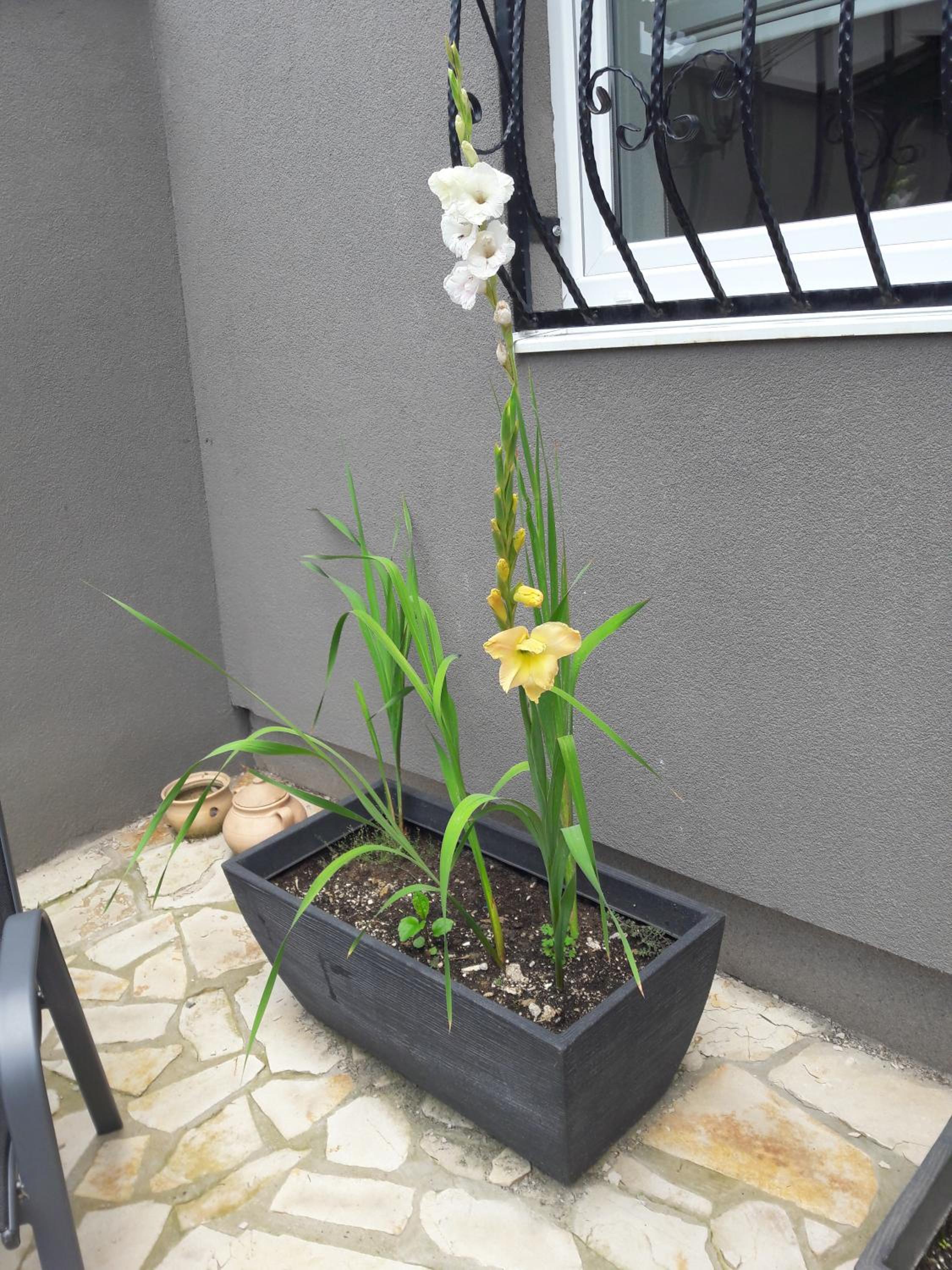 Photo 29