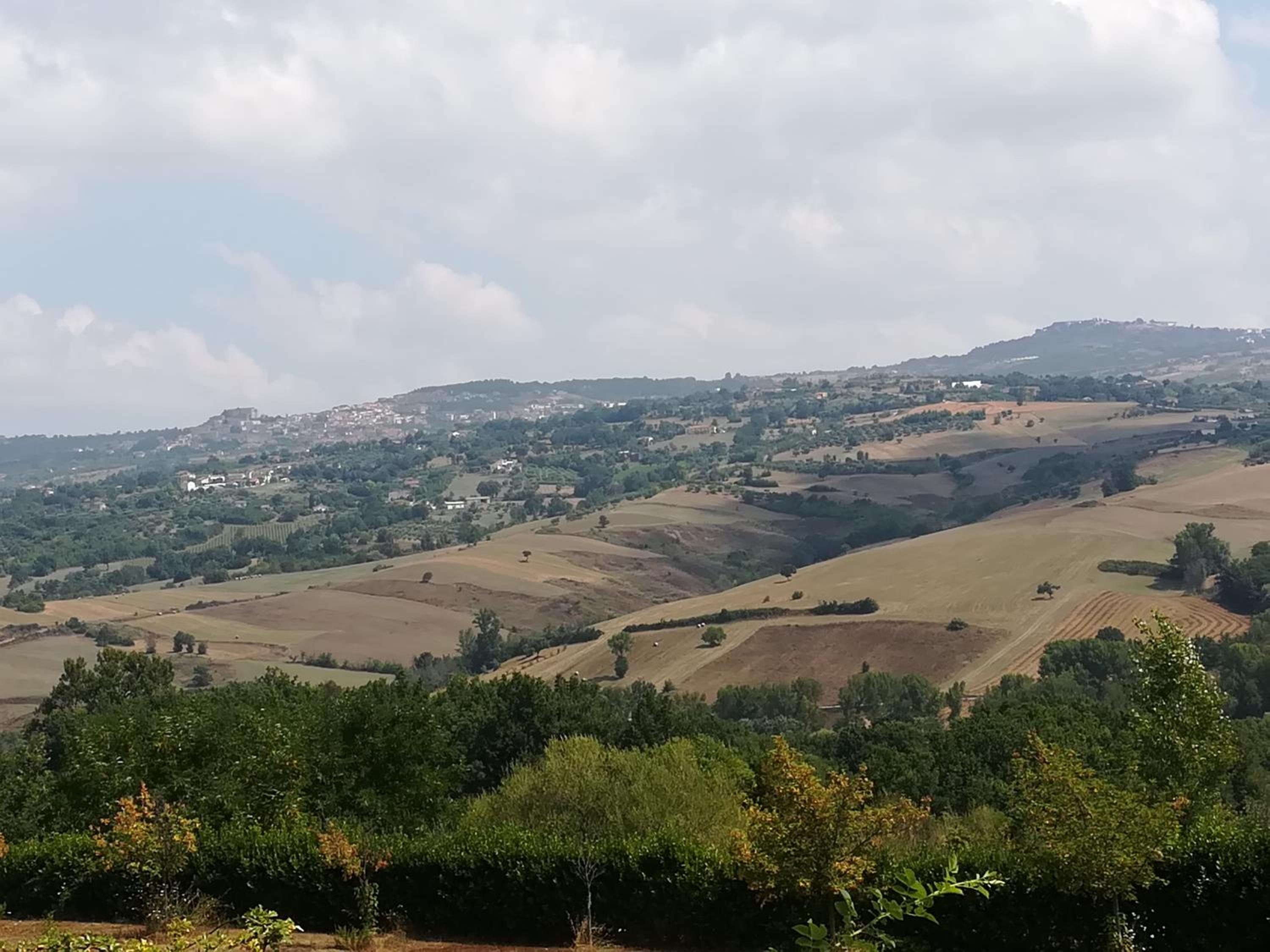 Agriturismo I Tre Ulivi