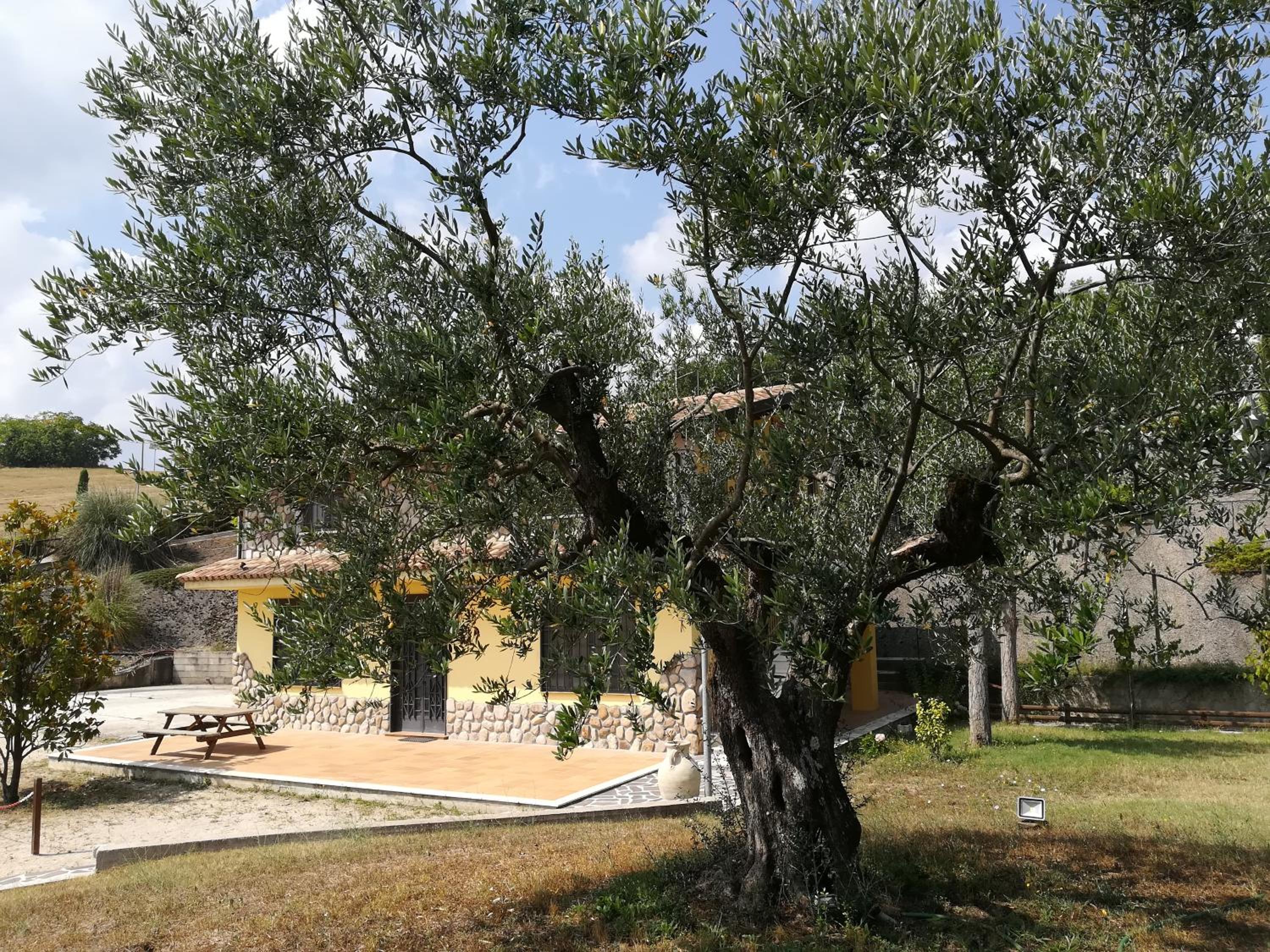 Agriturismo I Tre Ulivi
