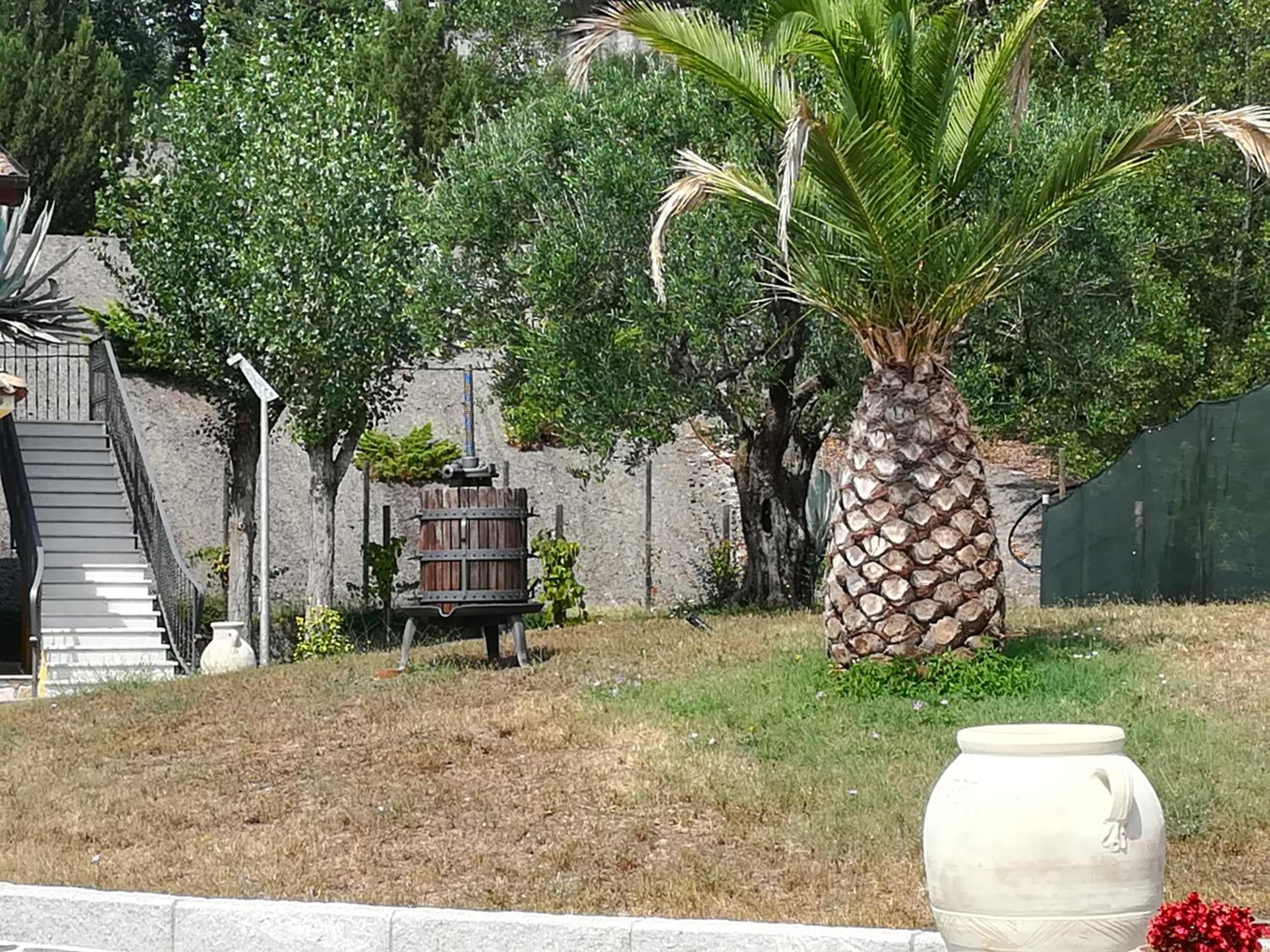 Agriturismo I Tre Ulivi