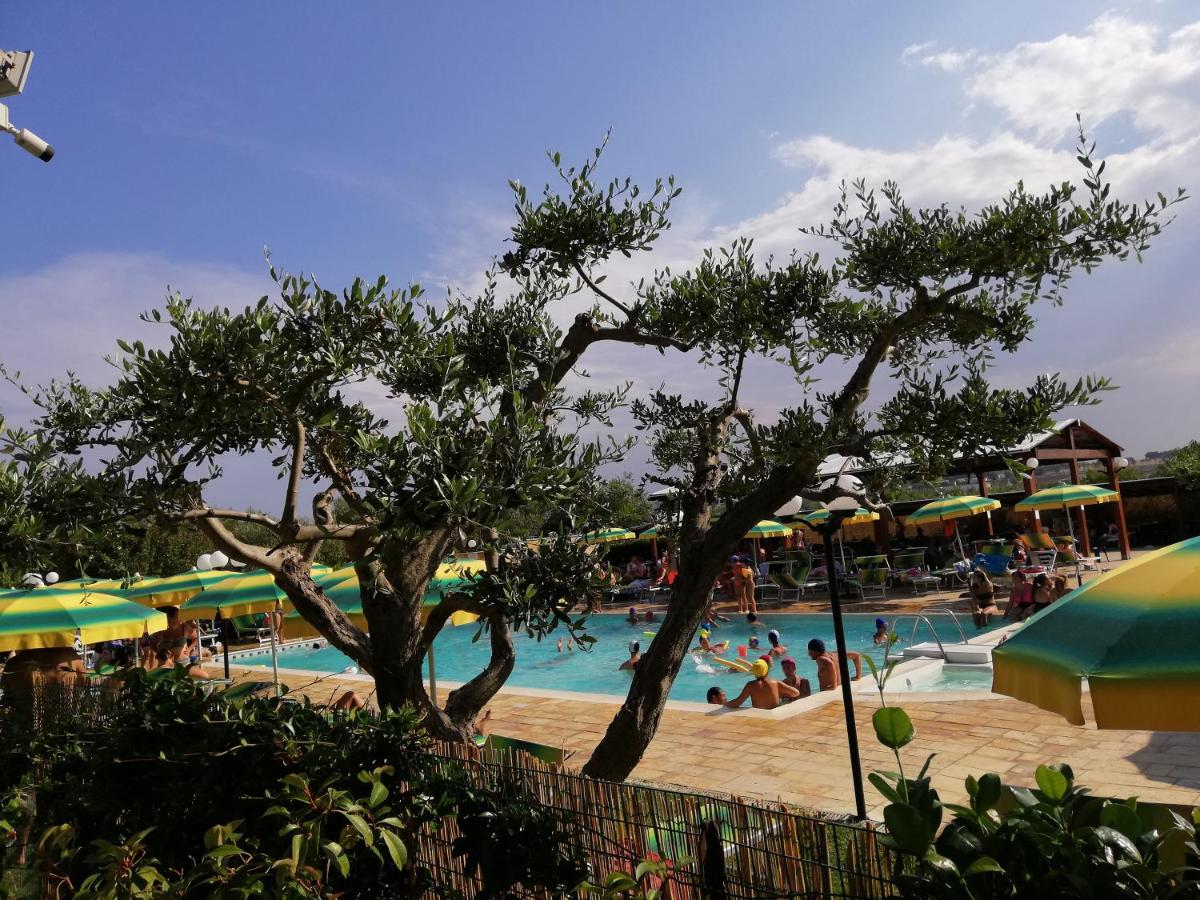 children's play area
