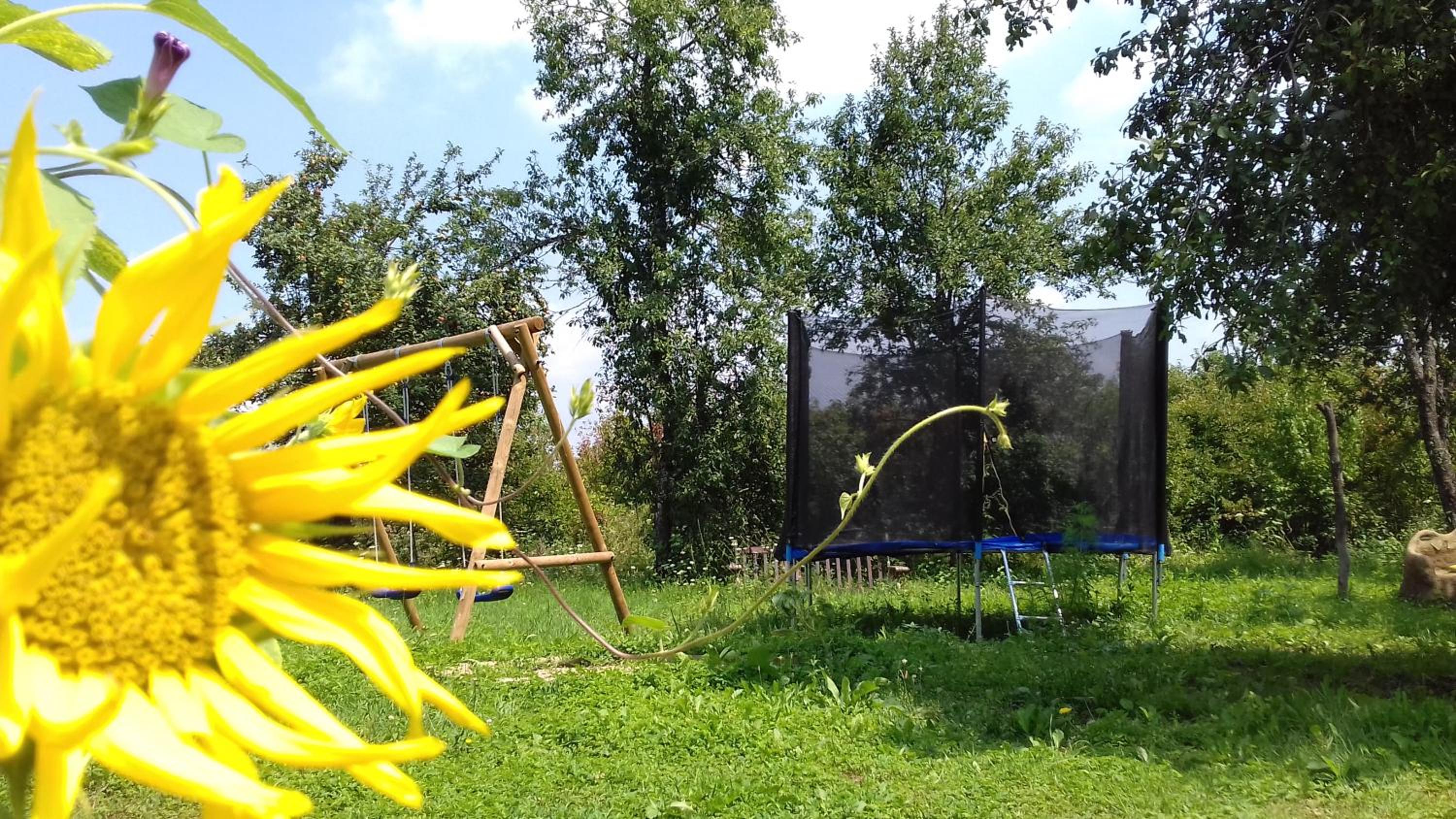 Photo 26