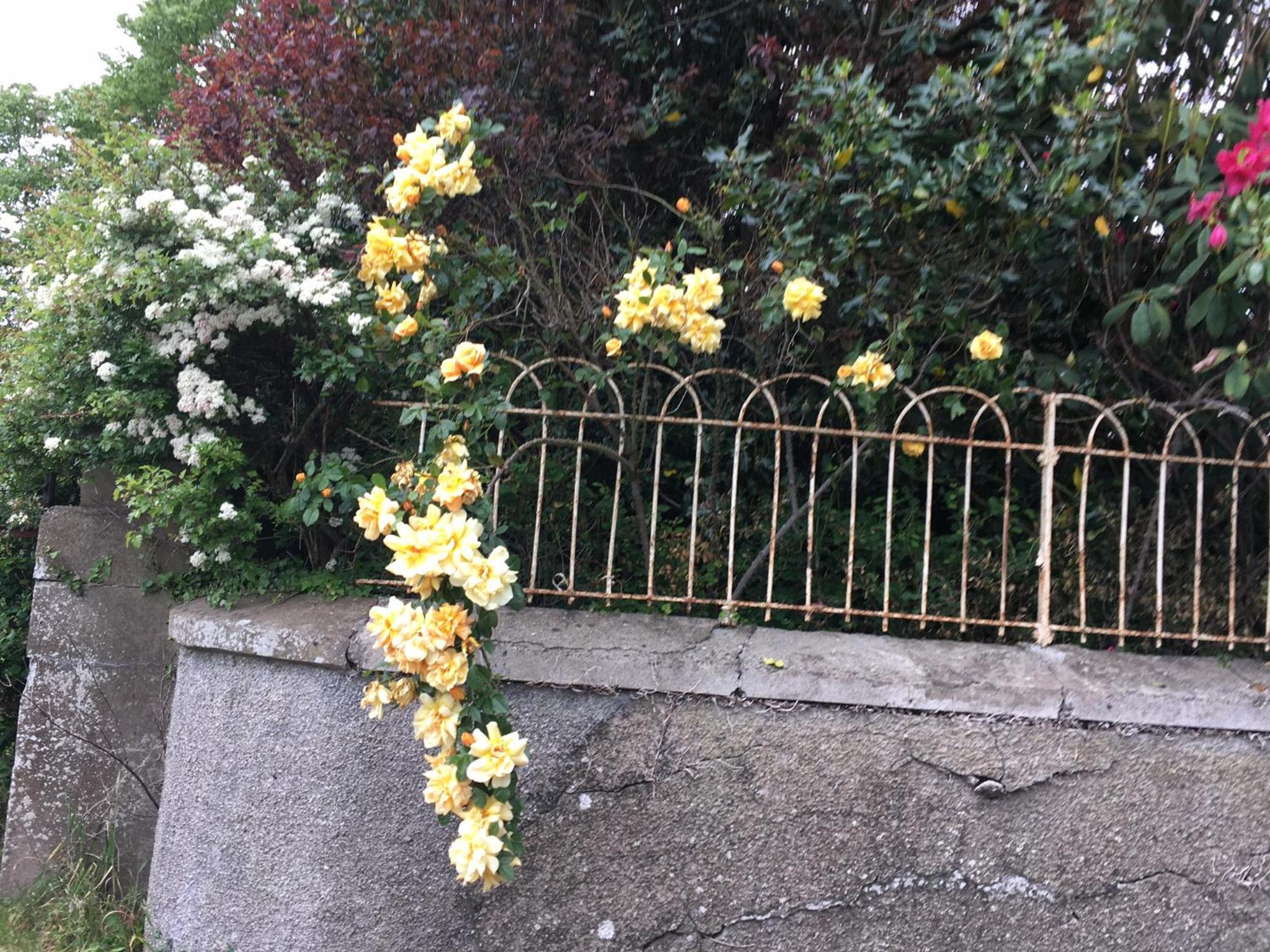 Photo 21