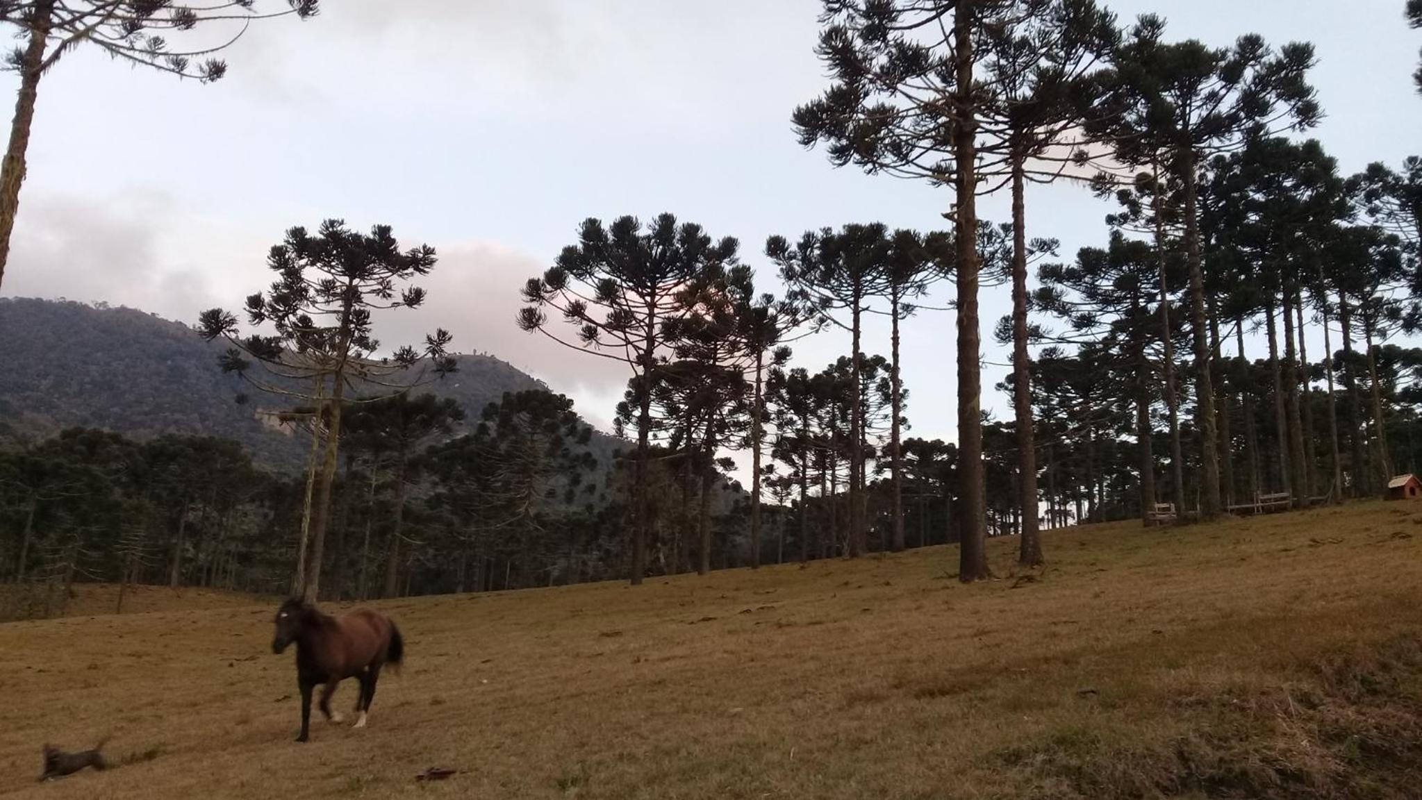 Celeiro das Águas Brancas