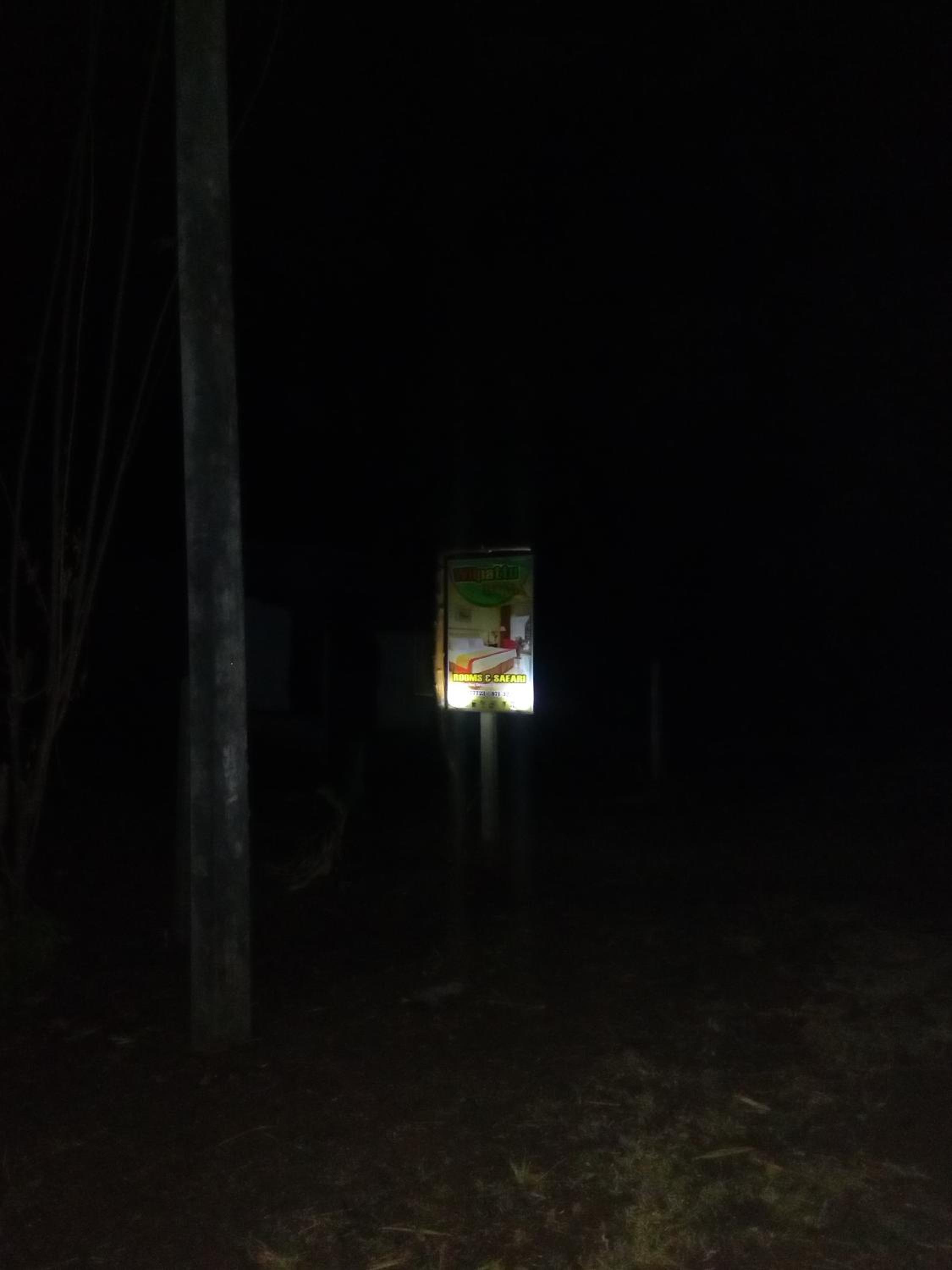Photo 45