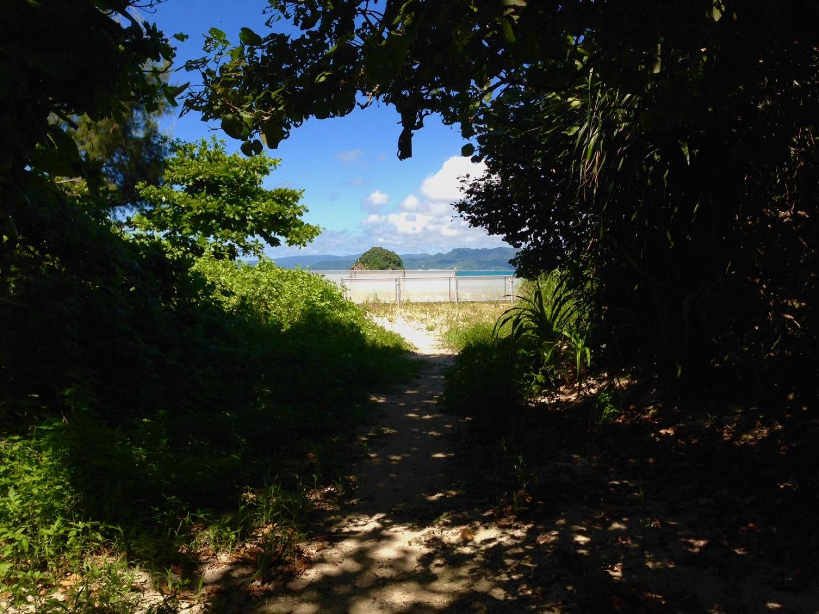 Photo 23