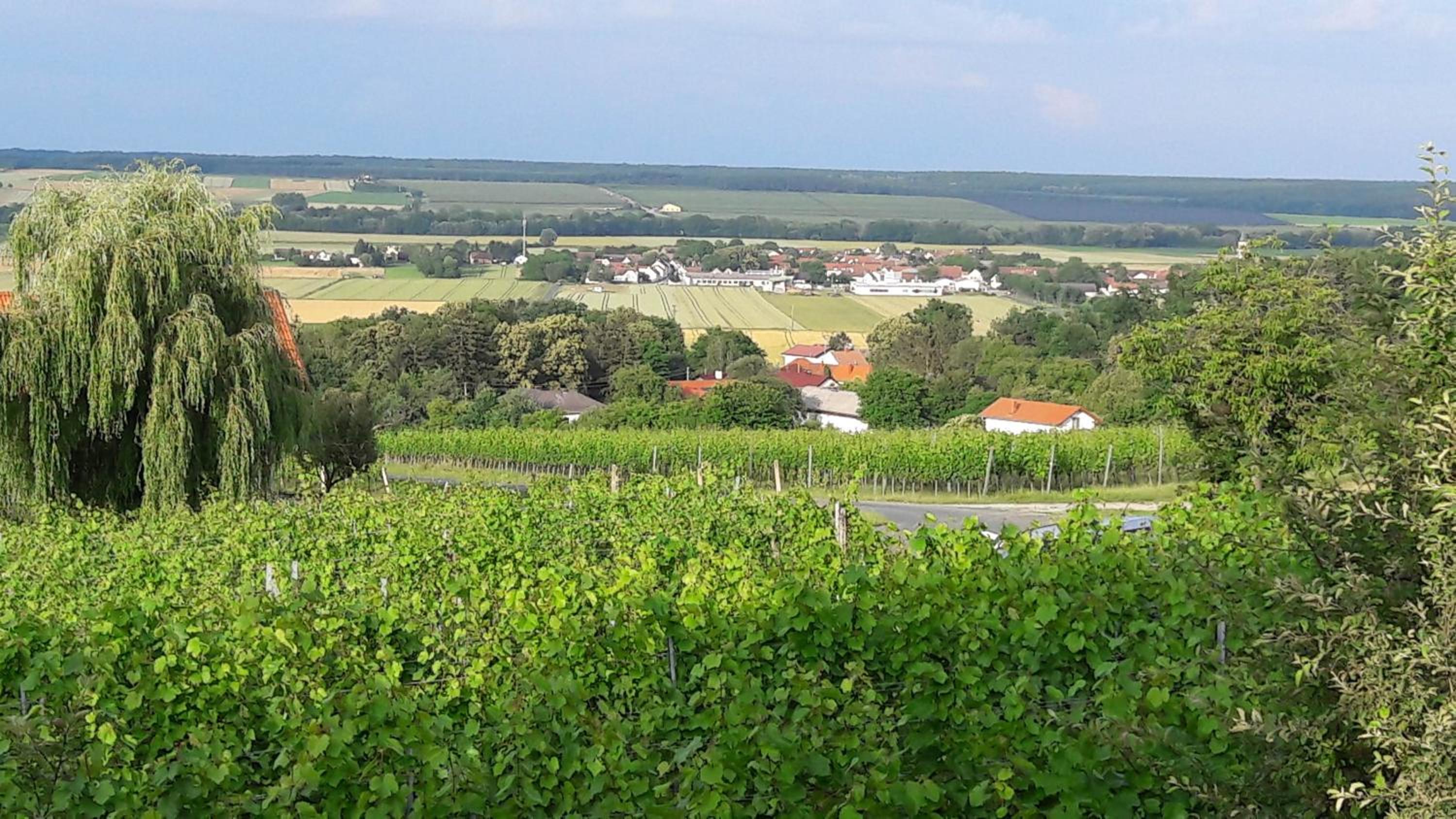 Franz Josef am Ratschenberg