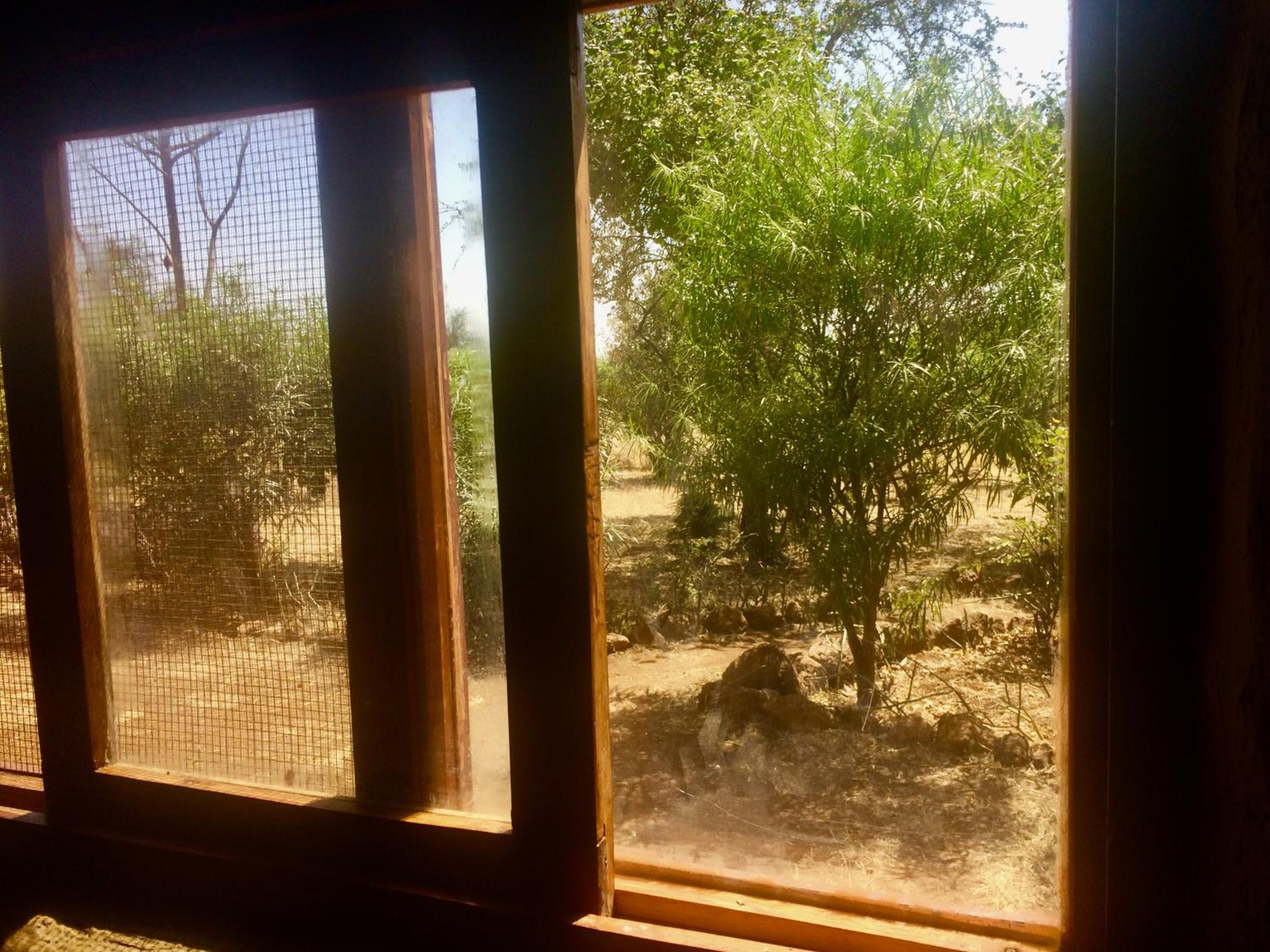Amboseli Eco Camp