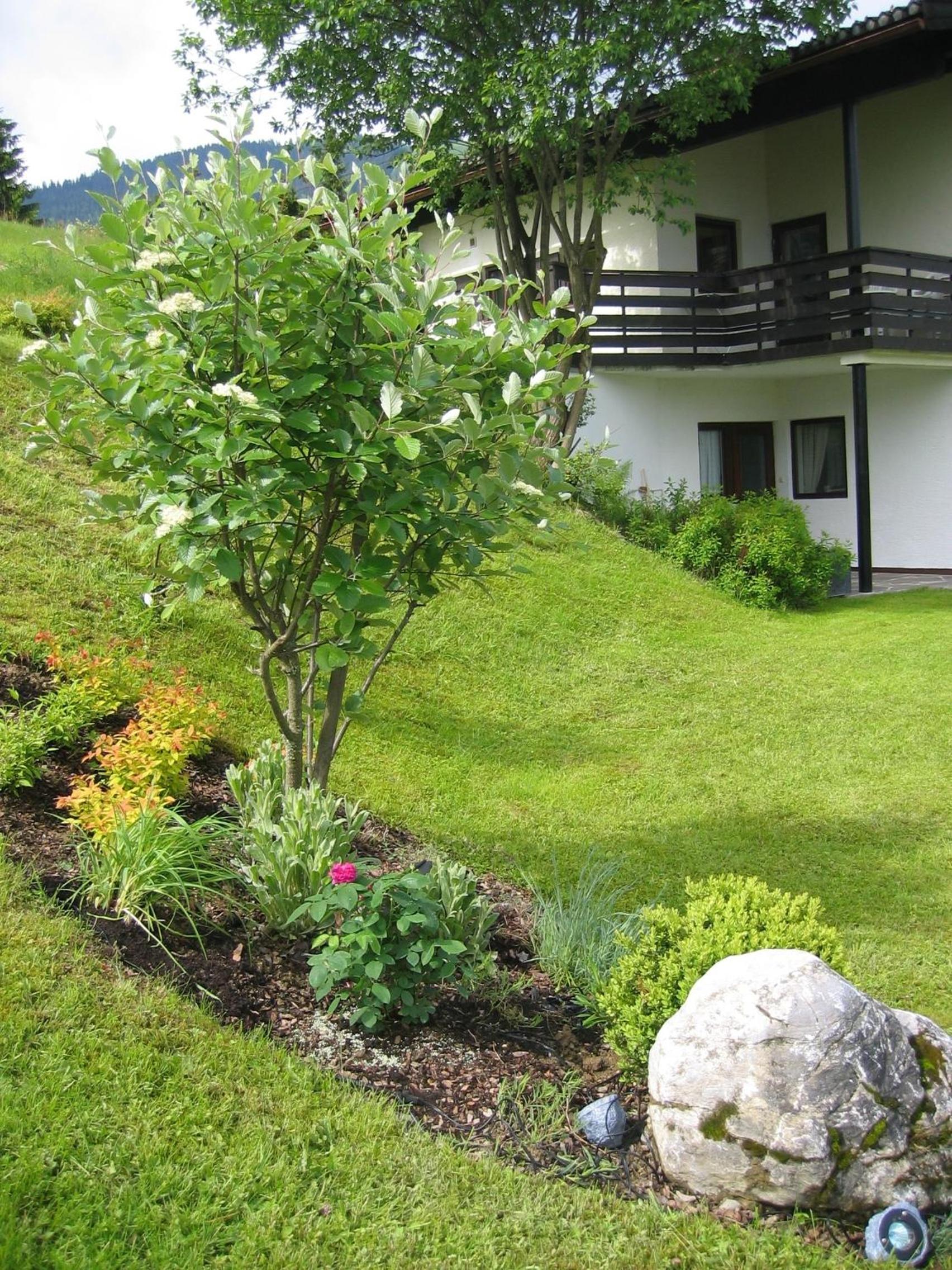 Haus Anne